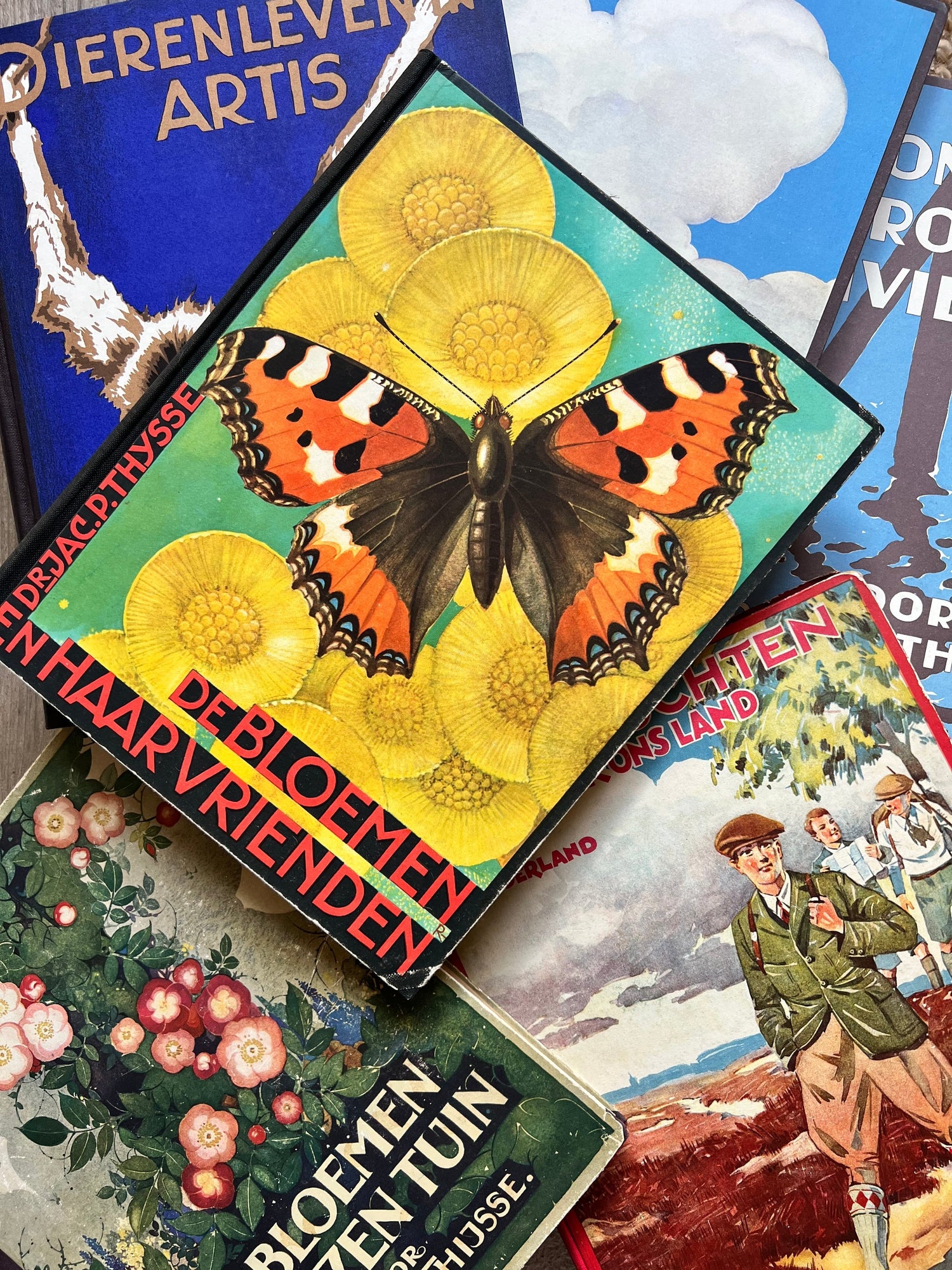 Wat maakt de Verkade albums zulke geliefde verzamelobjecten?