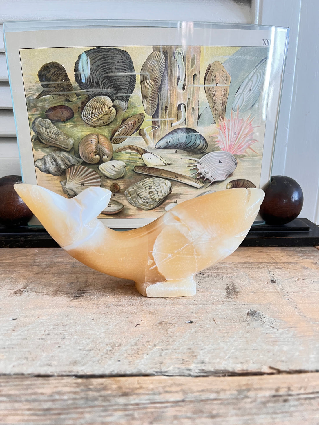 - vintage visbeeldje Albast  
- Albast vis uit Egypte  
- Albasten beeldje vis  
- Egyptisch Albast decoratie  
- vintage decoratieve beelden  
- handgemaakt Albast beeldje  
- unieke vis decoratie  
- Albast souvenirs Egypte