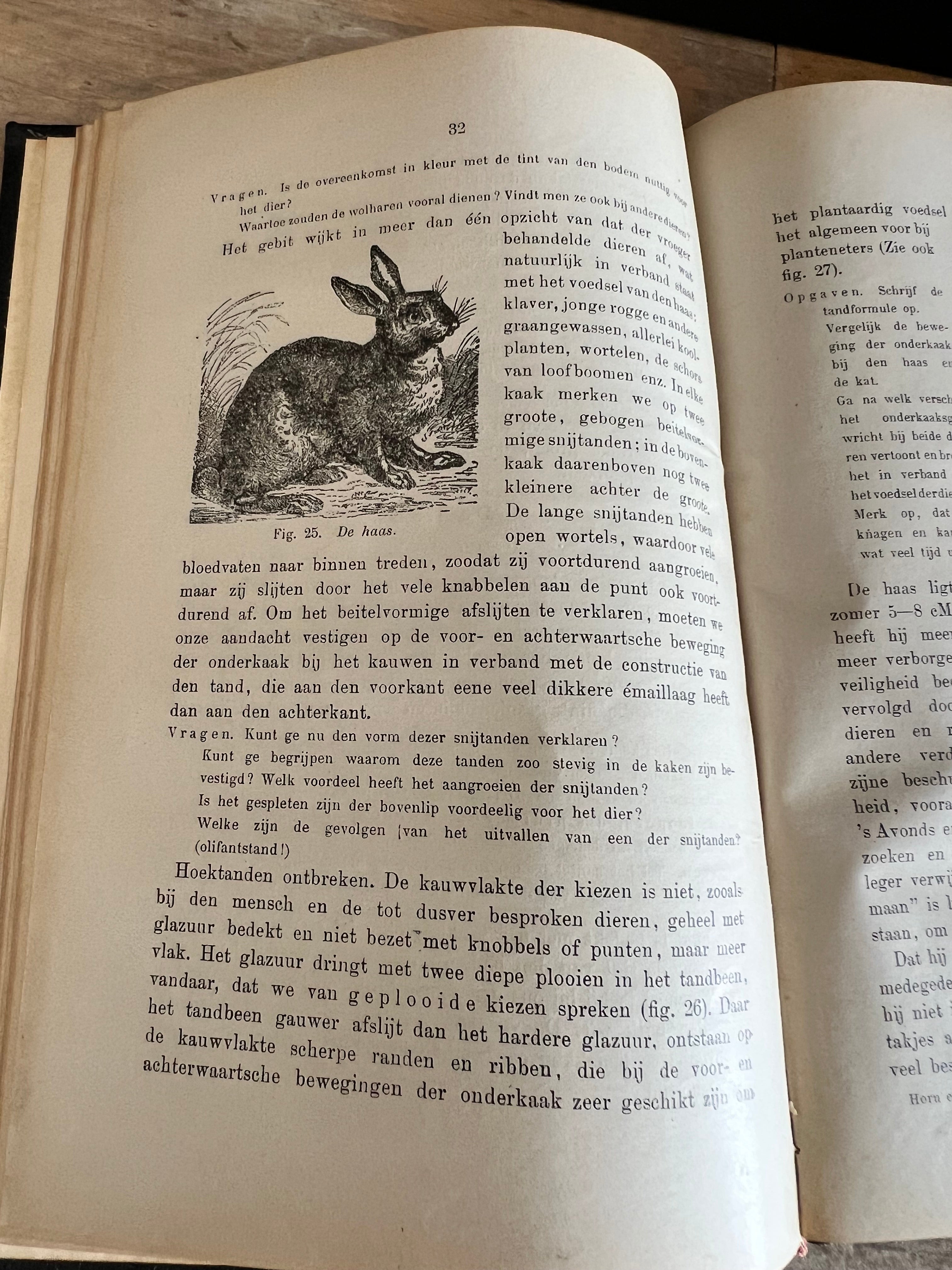 Boek dierkunde - D. Horn 1910