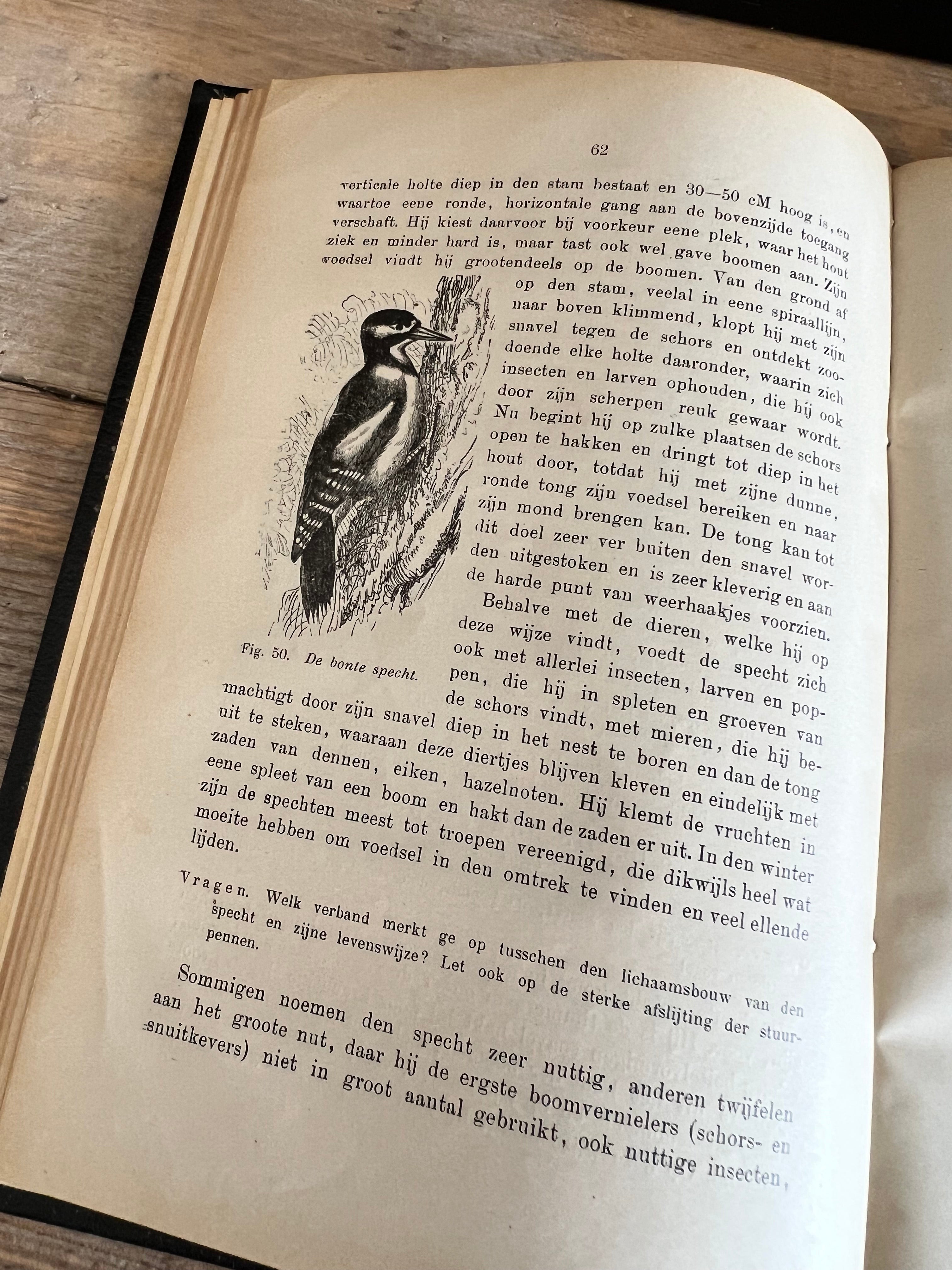 Boek dierkunde - D. Horn 1910