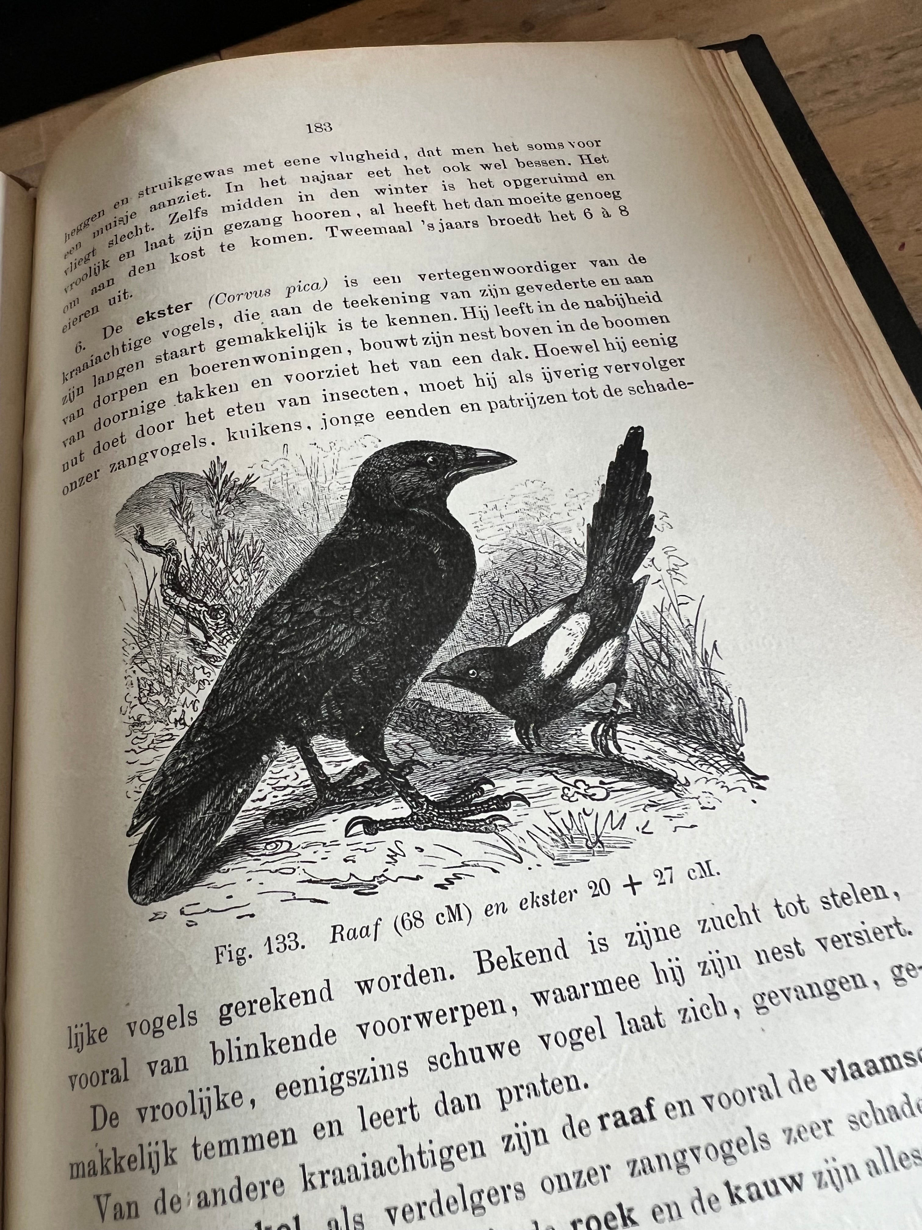 Boek dierkunde - D. Horn 1910