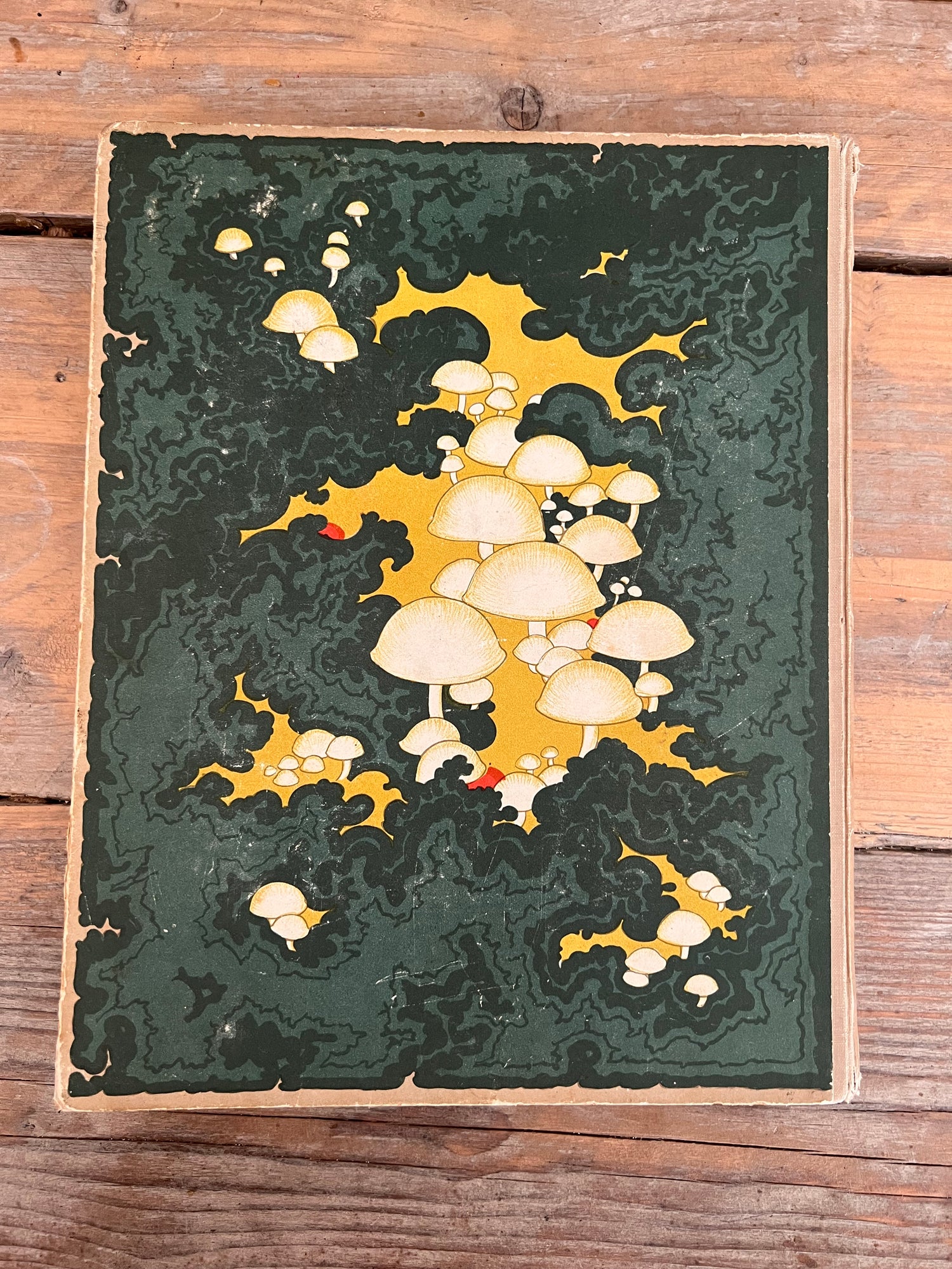 Antique Verkade picture album Mushrooms