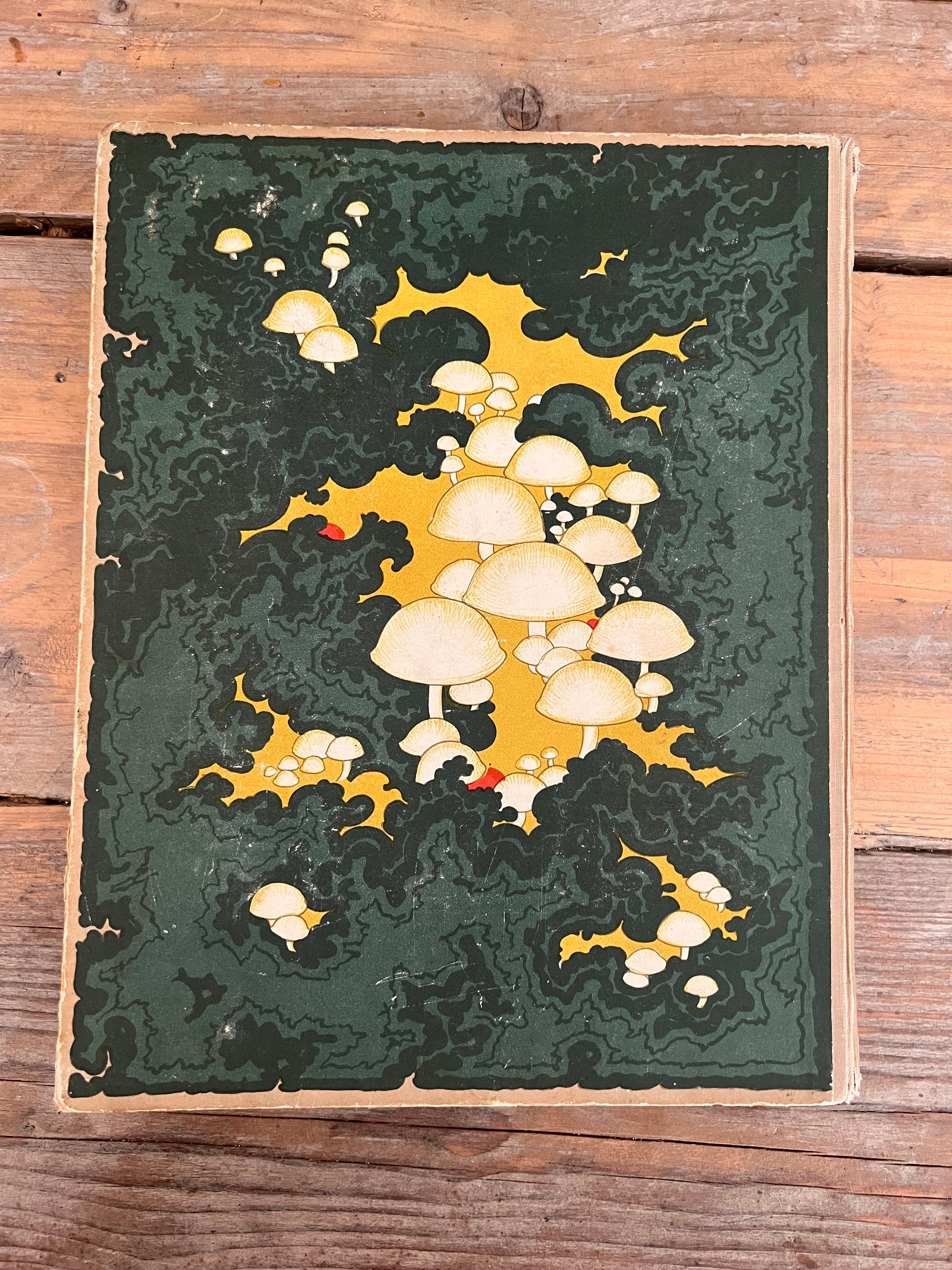 Antique Verkade picture album Mushrooms