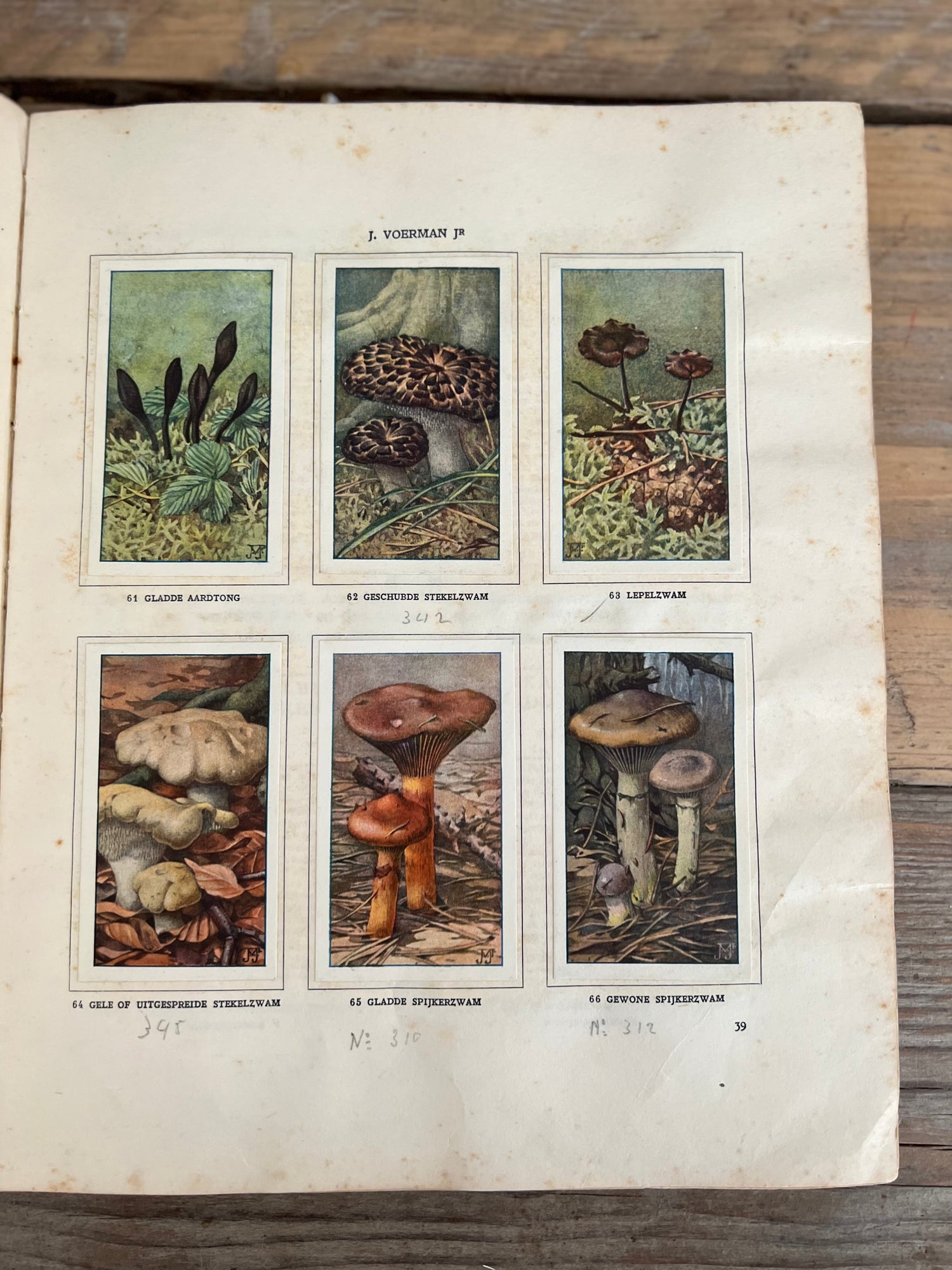 Antique Verkade picture album Mushrooms