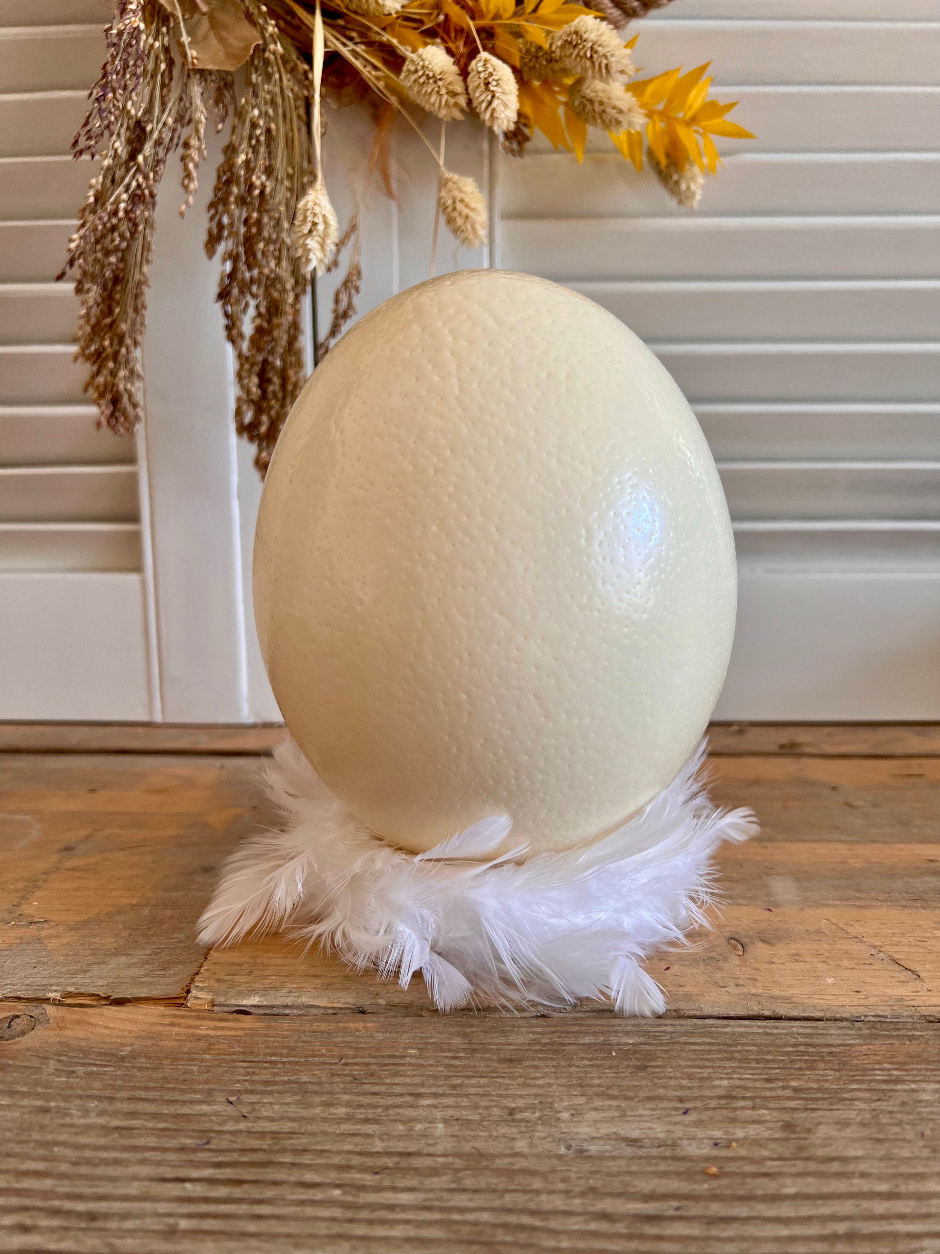 Ostrich egg