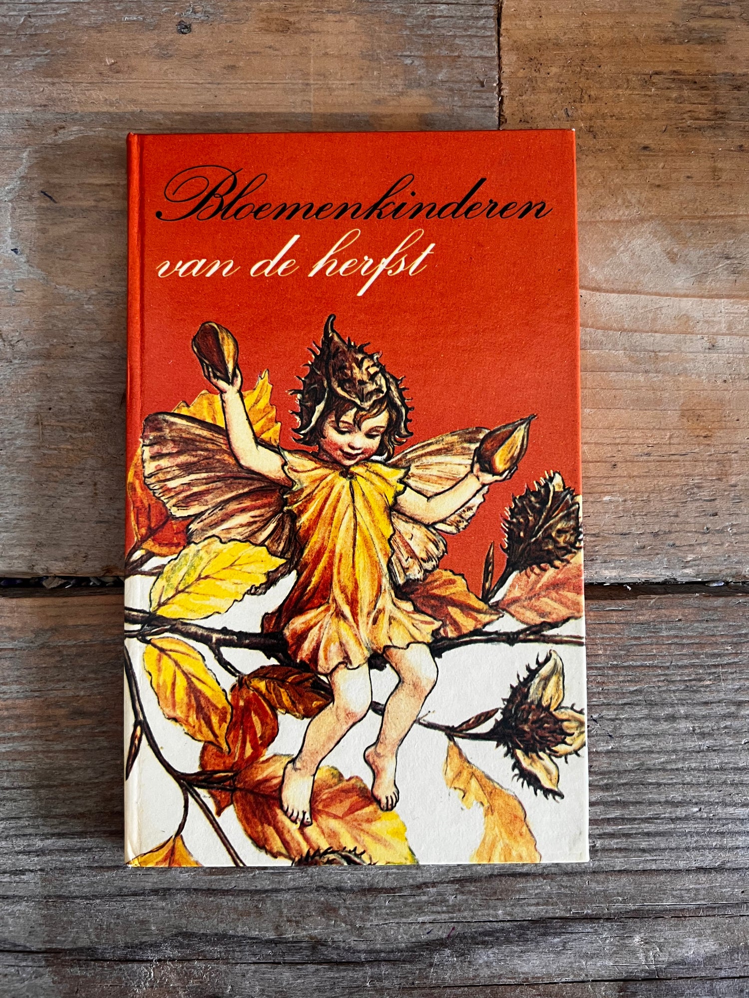 Bloemenkinderen van de herfst