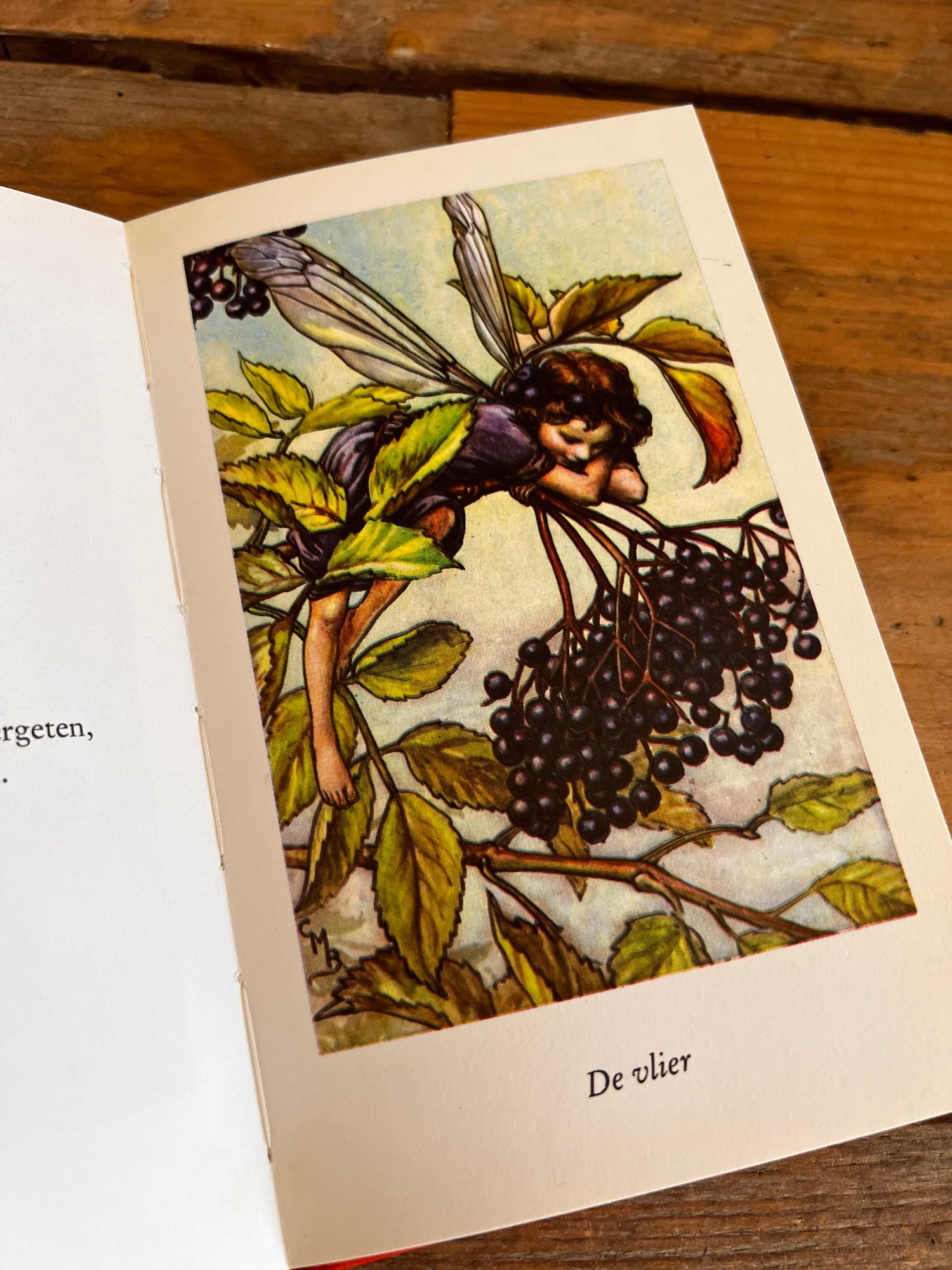 Bloemenkinderen van de herfst