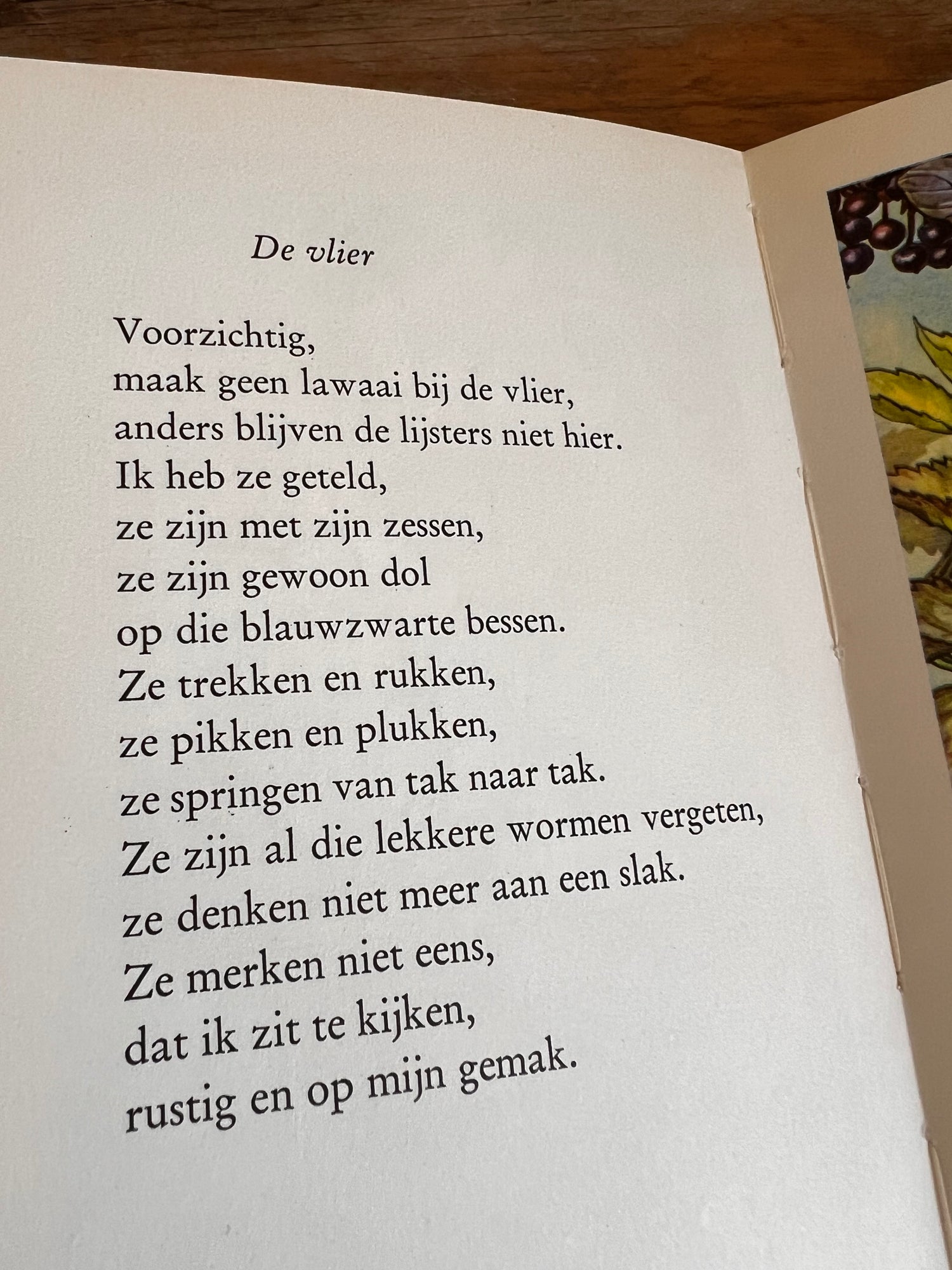 Bloemenkinderen van de herfst