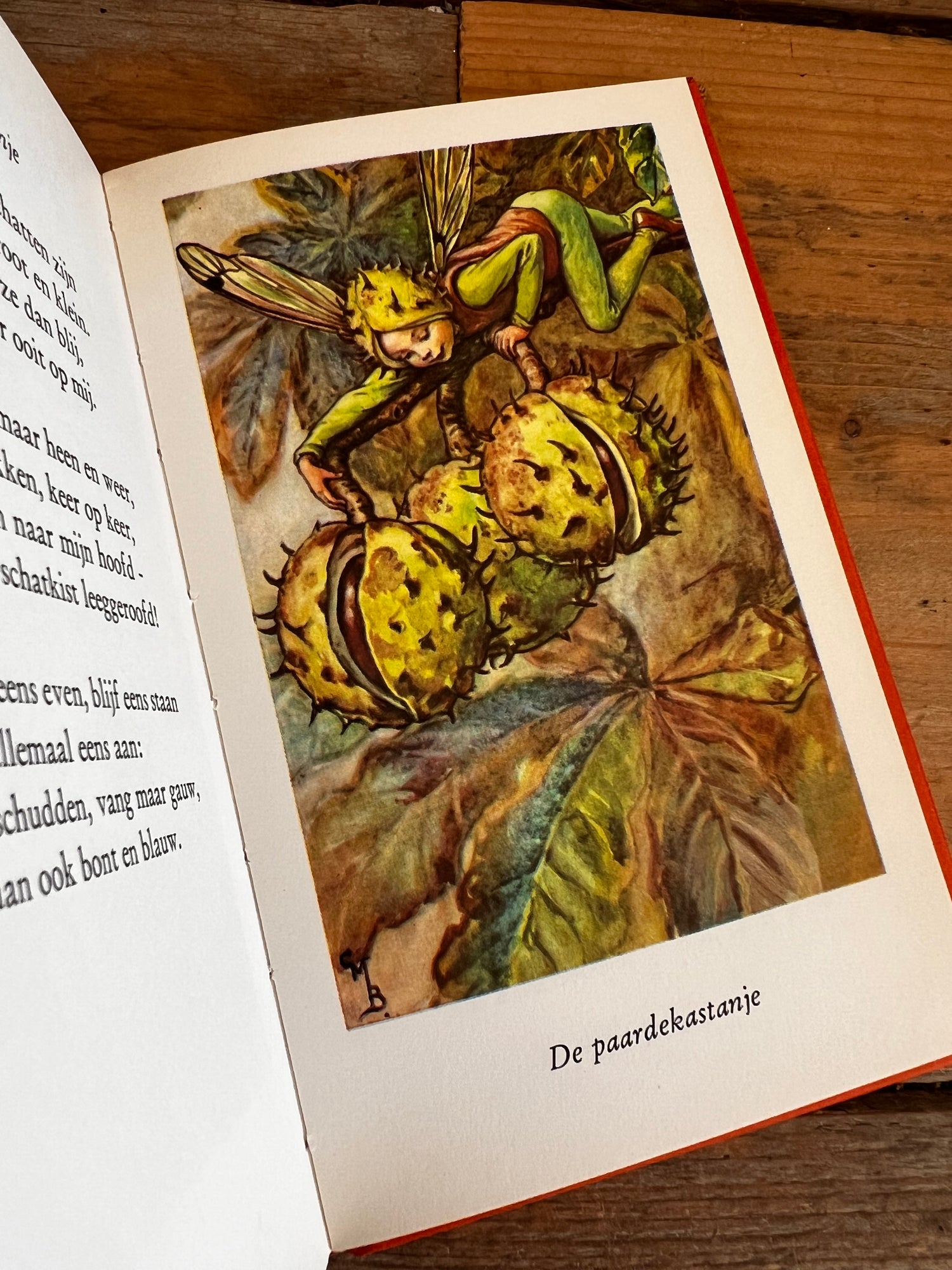 Bloemenkinderen van de herfst