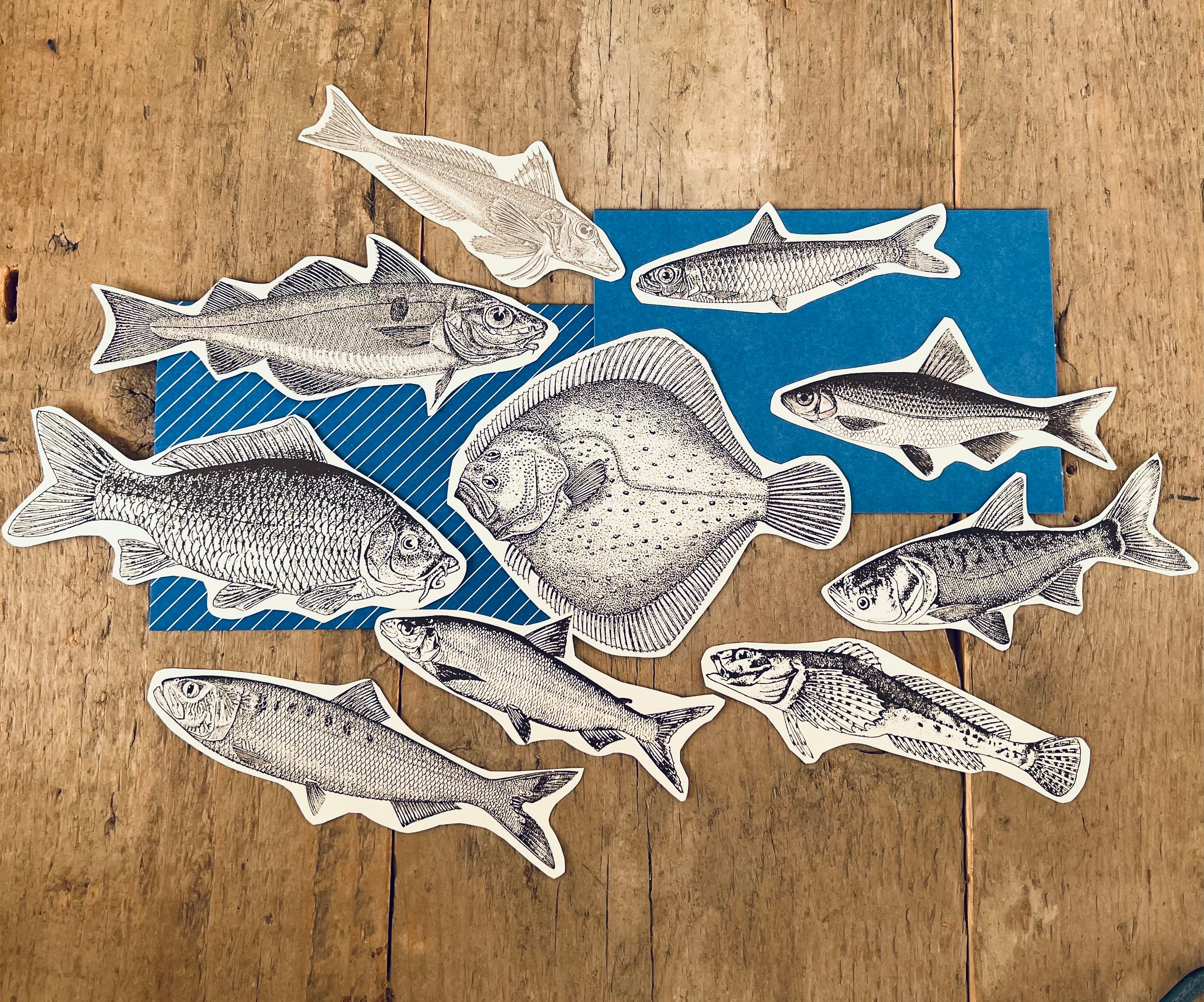 Paper fish