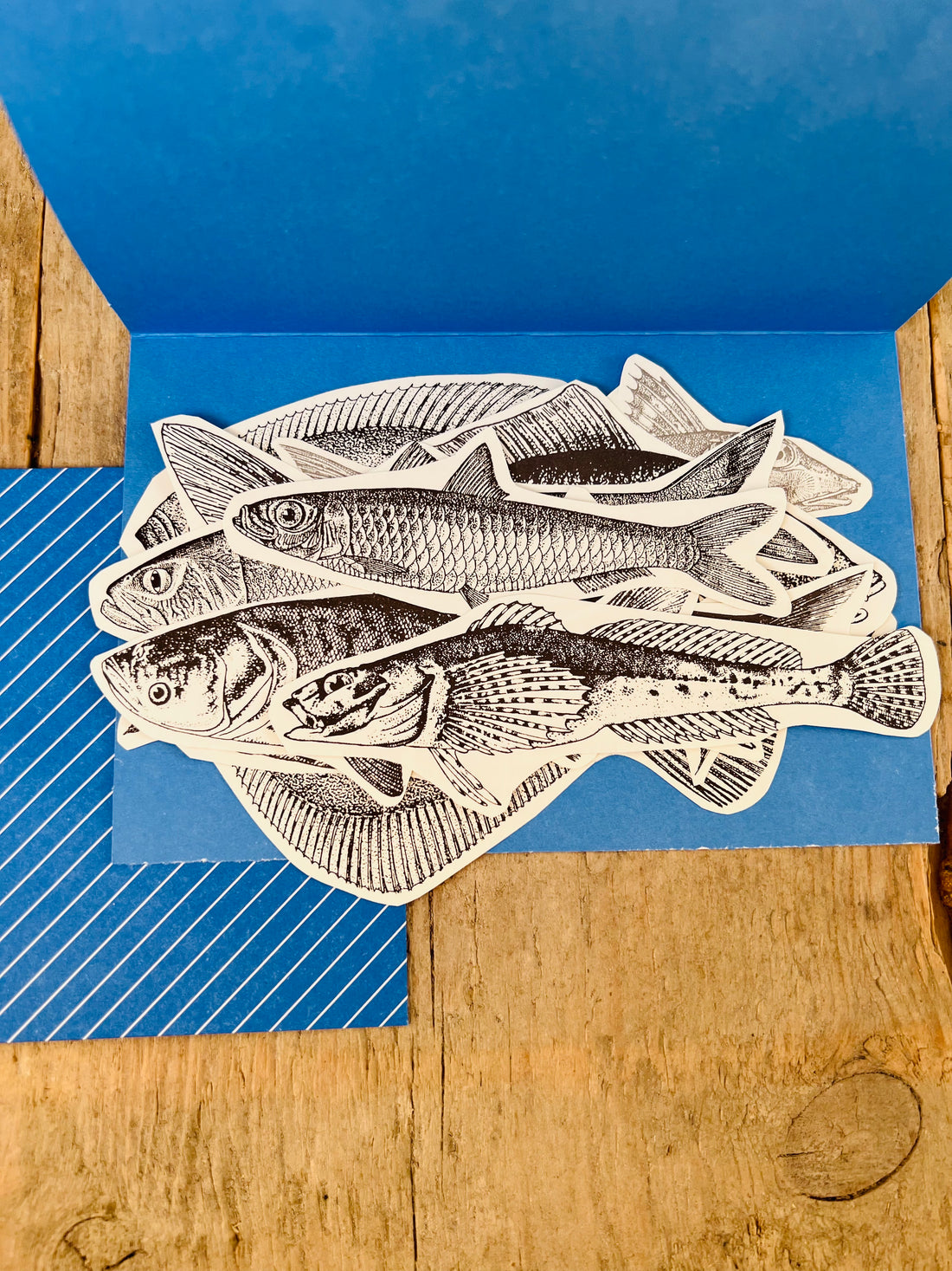 Paper fish