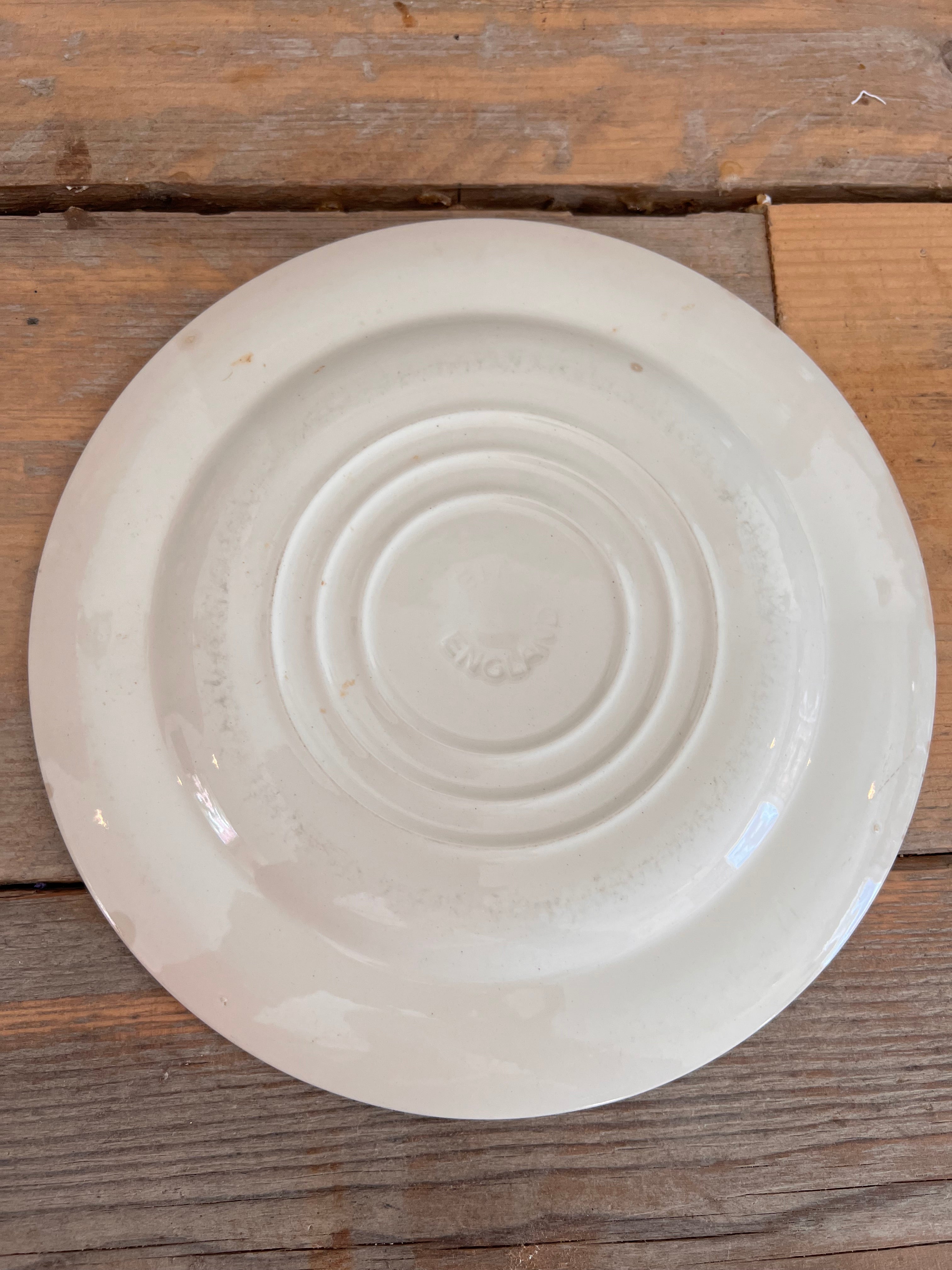 Ironstone plates Spring