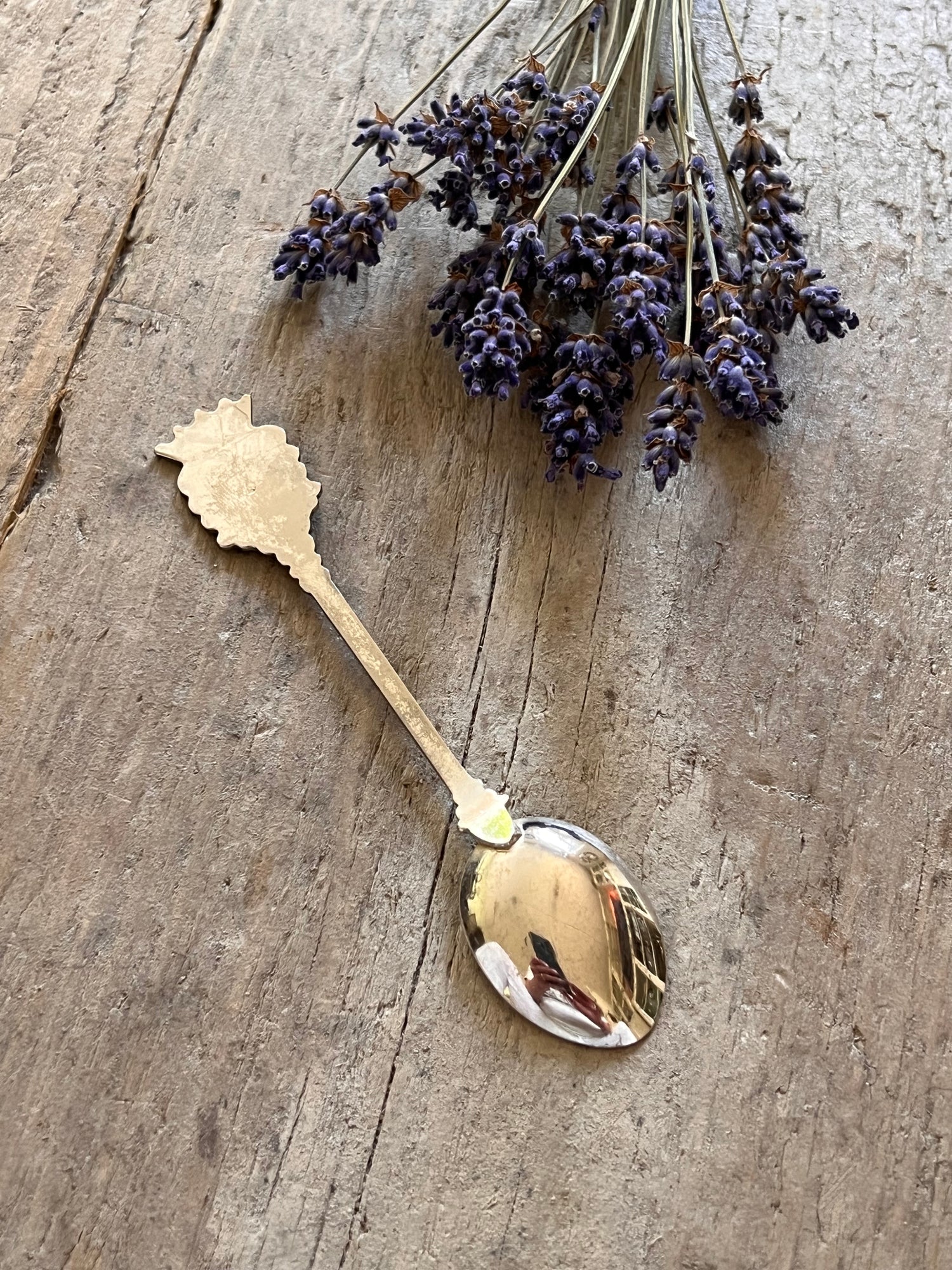 Wapenschild theelepel Costa Brava