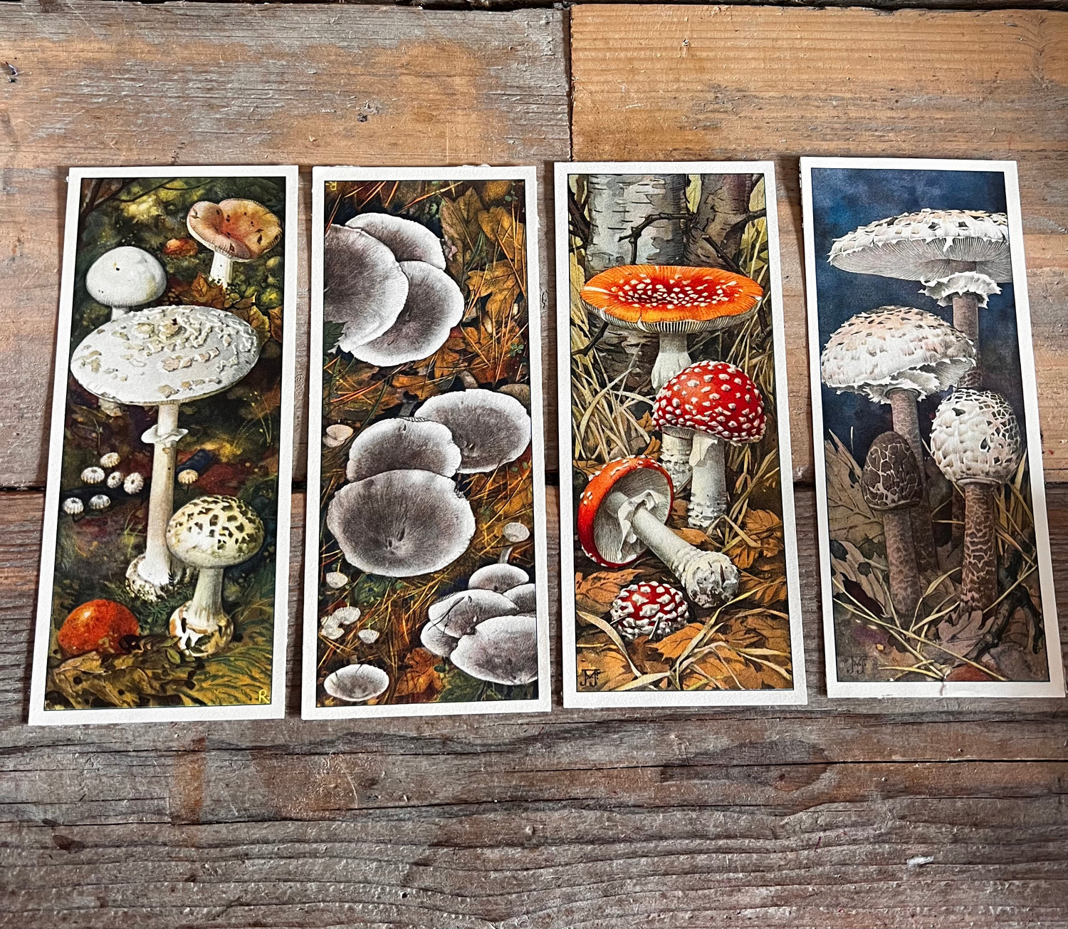 Antieke Verkadeplaatjes paddenstoelen