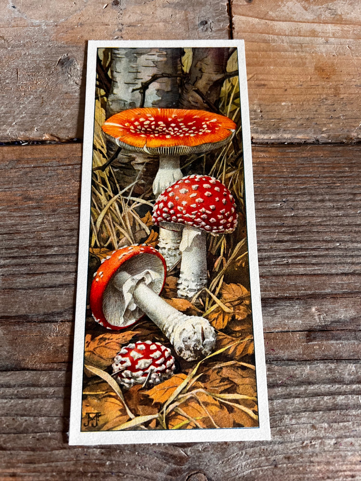 Set Verkadeplaatjes paddenstoelen XL 1929