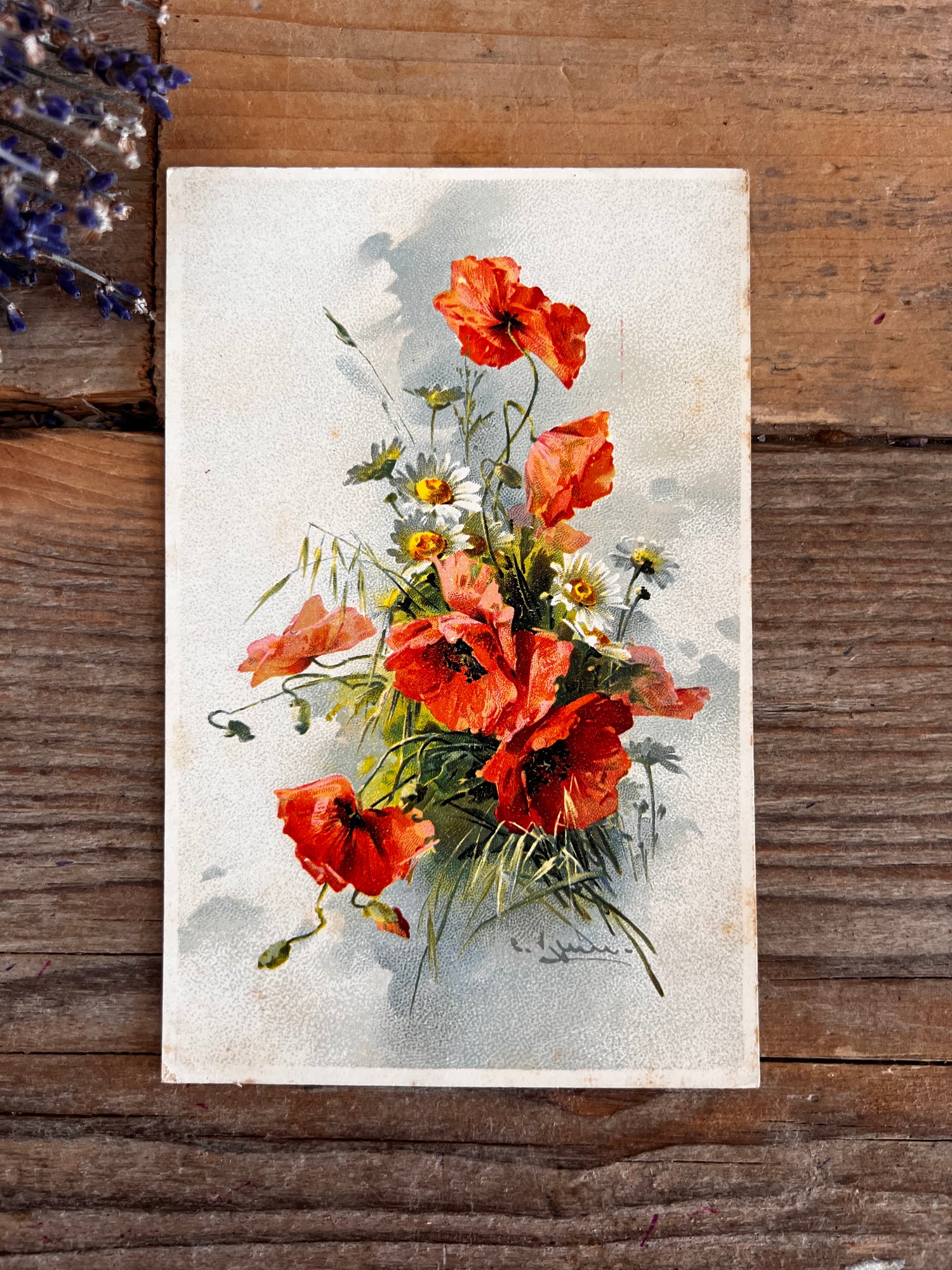 vintage ansichtkaart klaprozen, ansichtkaart bloemen illustratie, botanische ansichtkaart vintage, oude kaart klaproos, vintage postkaart bloemen, nostalgische ansichtkaart natuur, klaproos kunst kaart