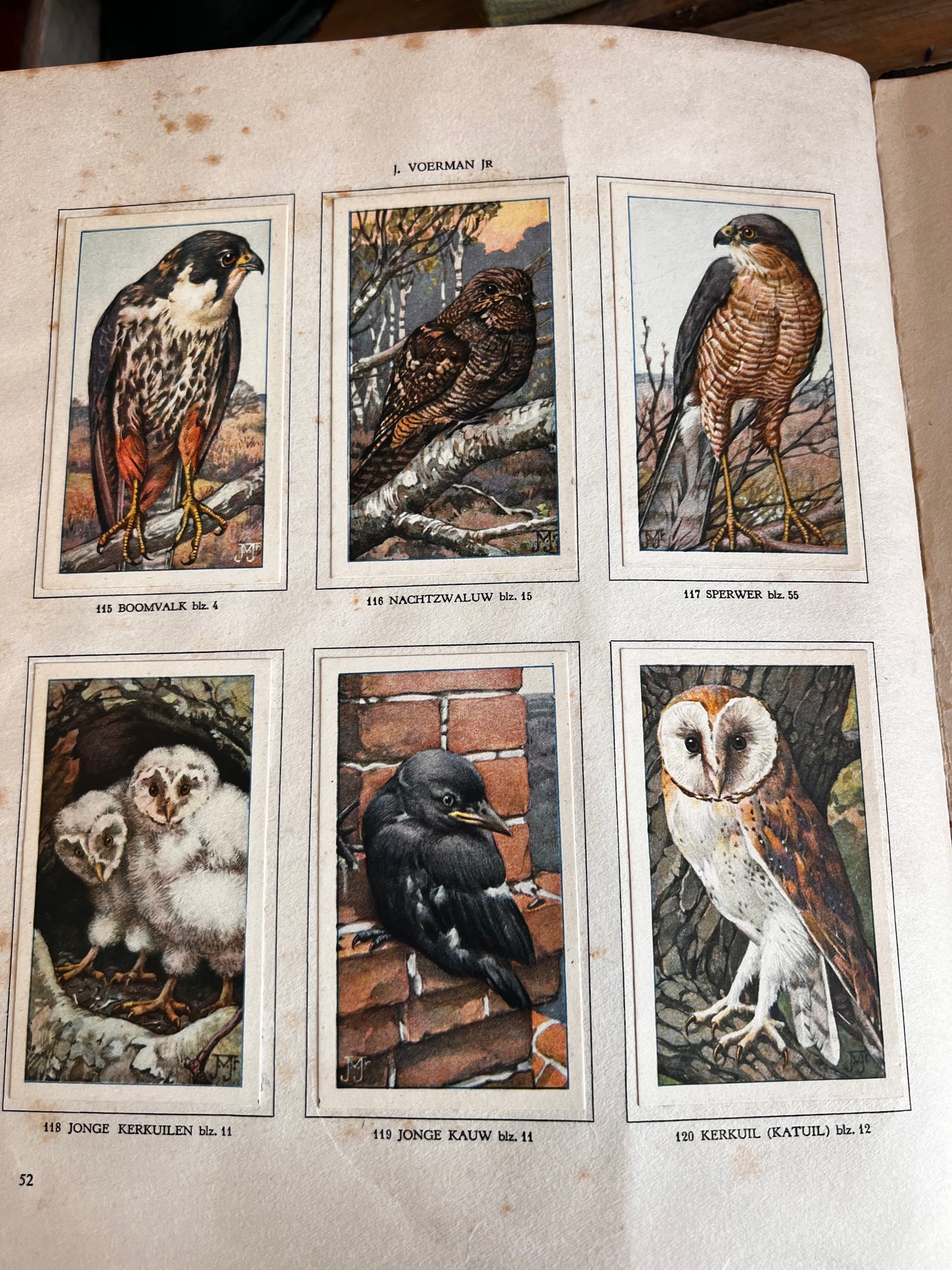 Verkade picture book Hans the Tower Crow