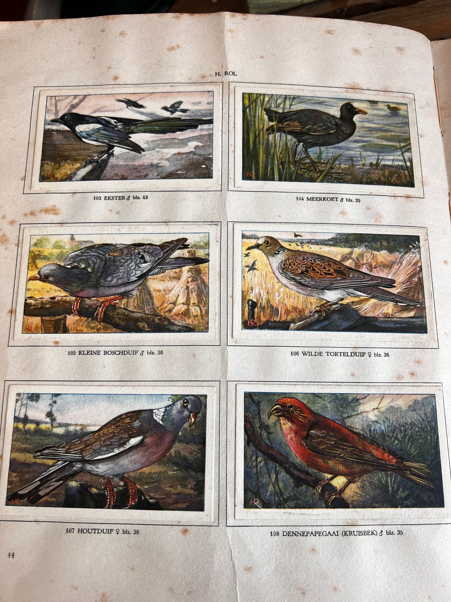 Verkade picture book Hans the Tower Crow