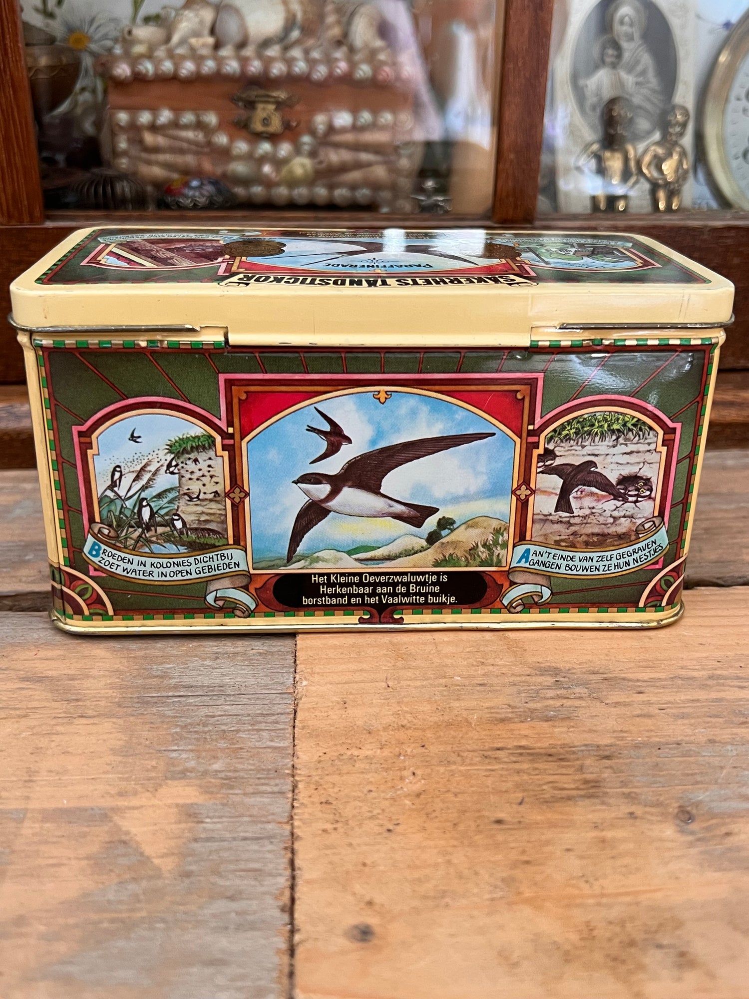 Zahnstocherdose schlucken