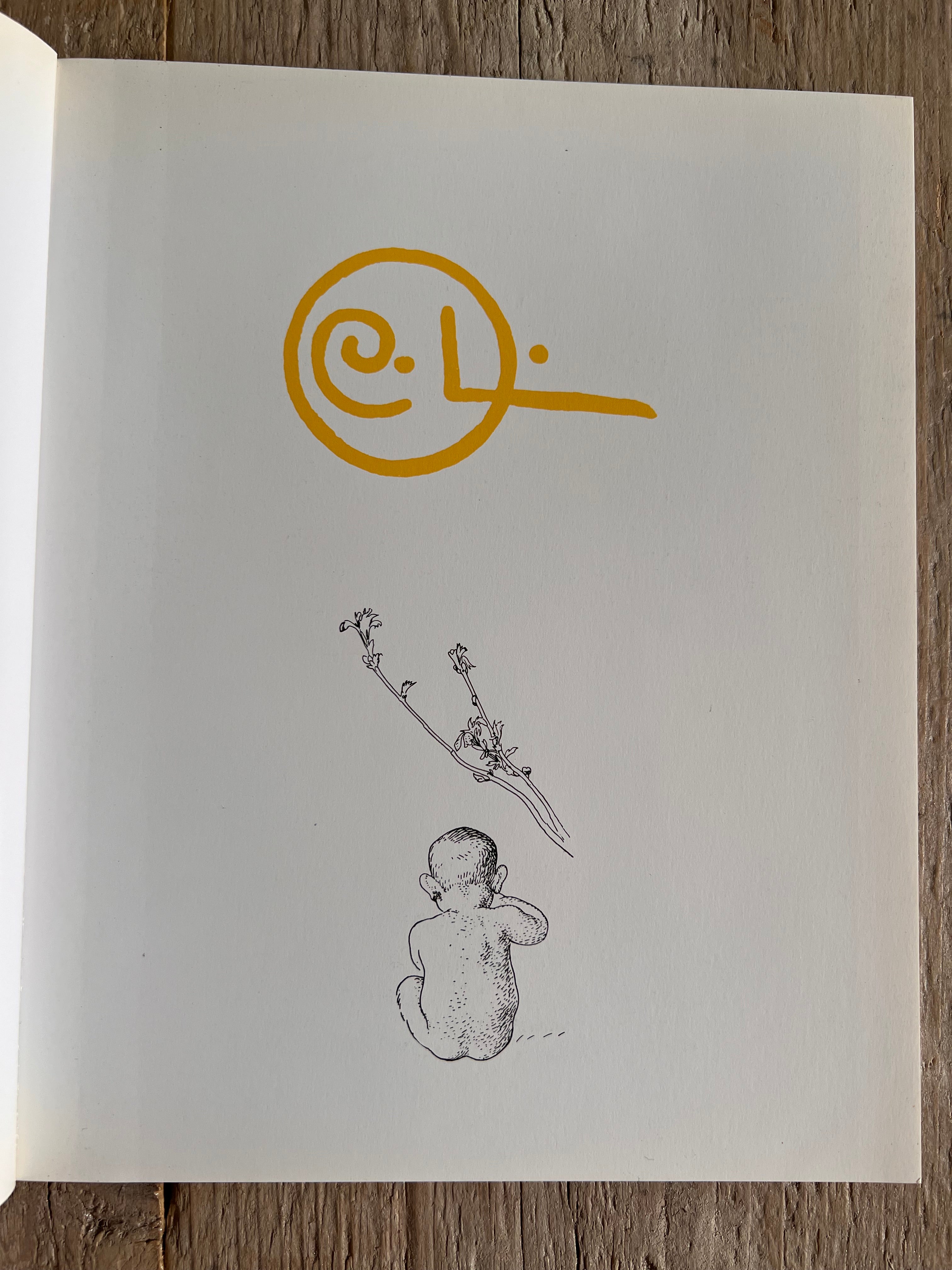 Boek Carl Larsson
