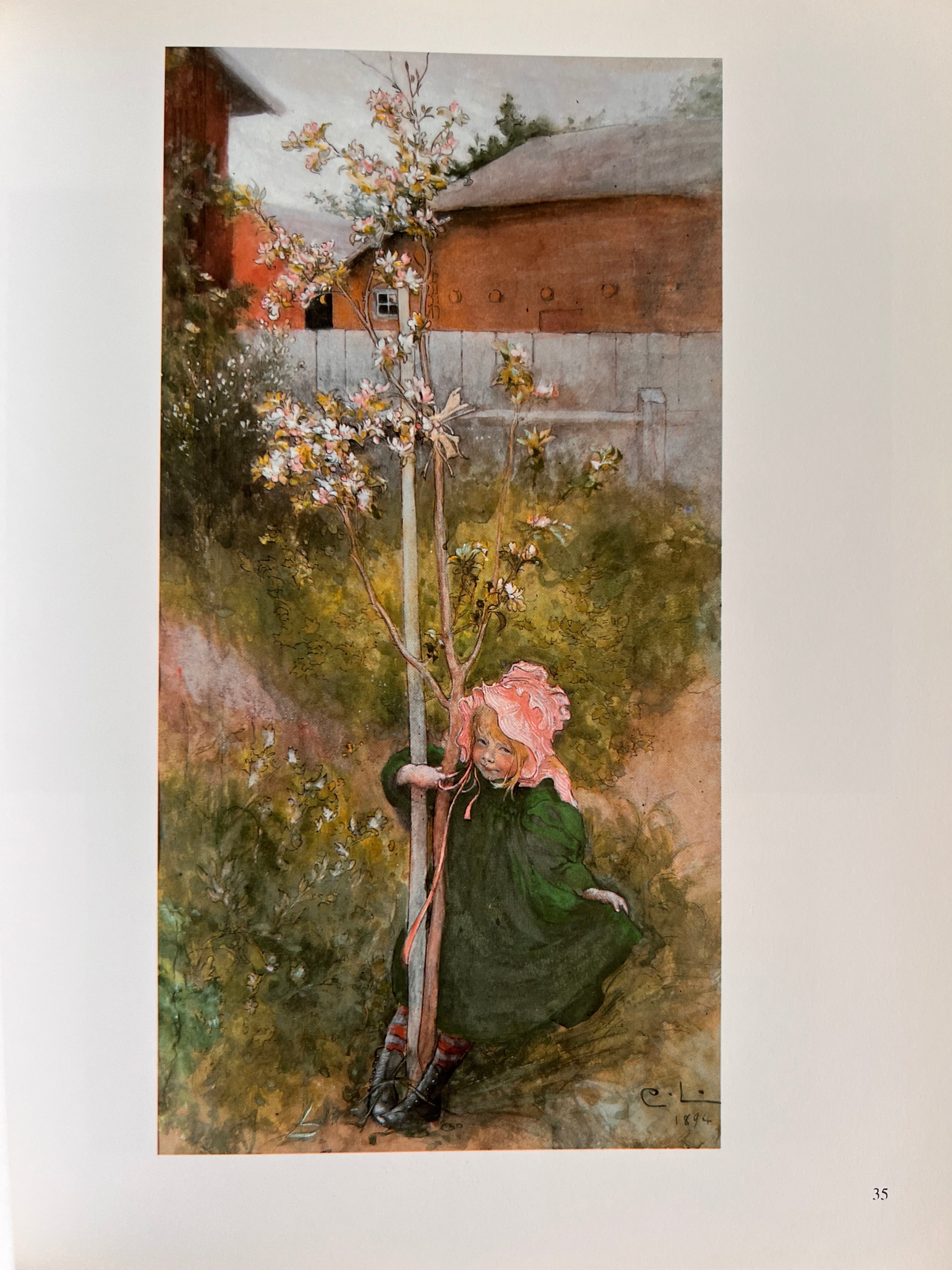 Boek Carl Larsson