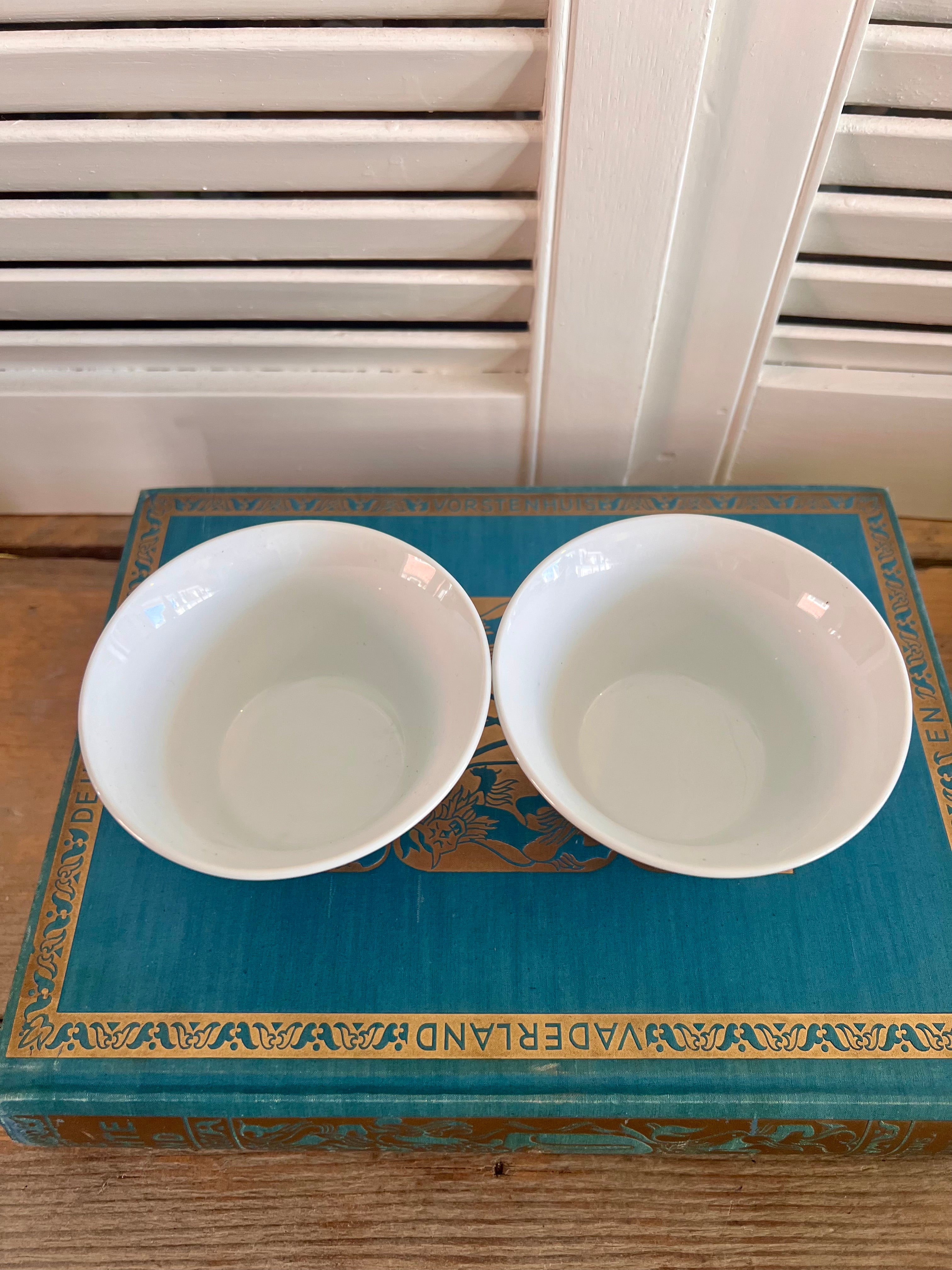 Jingdezhen Theekom Large
