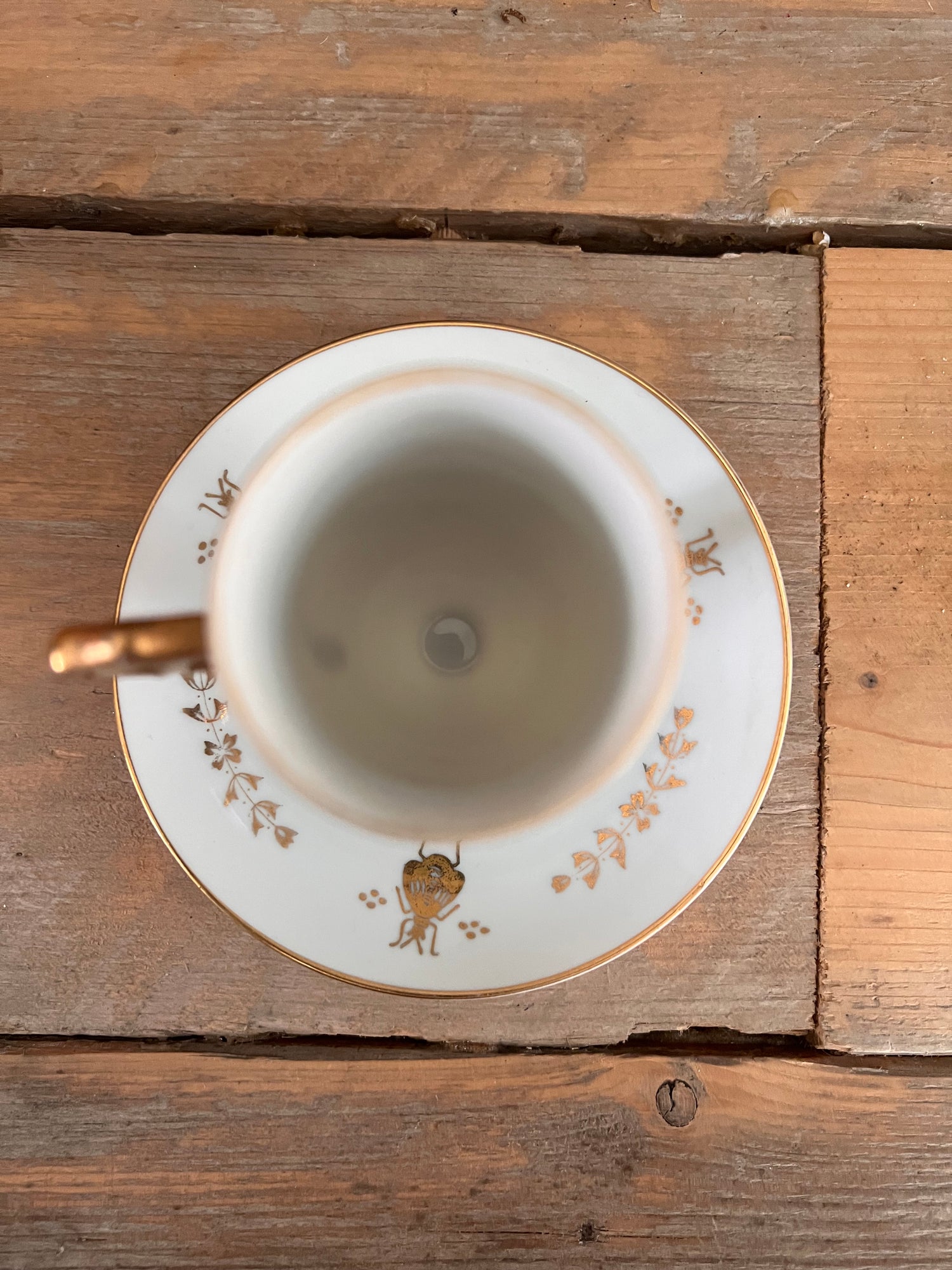 Japanese teacup