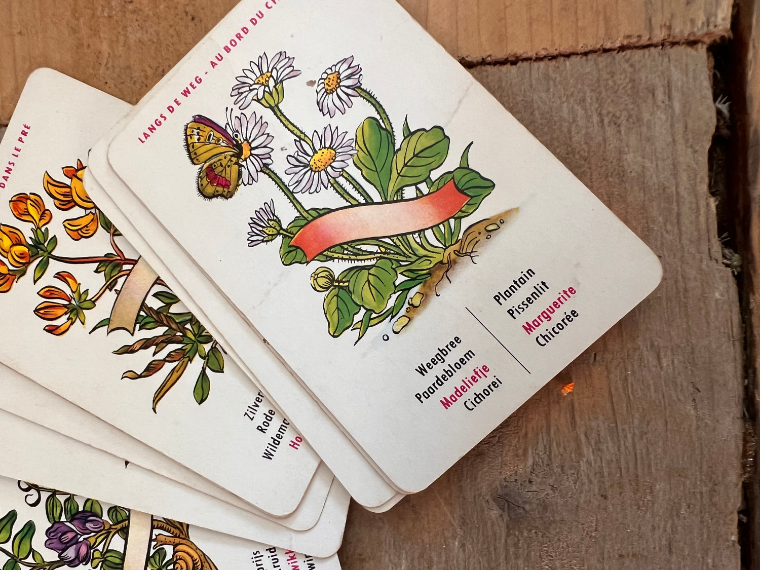 Vintage bloemen kwartetspel