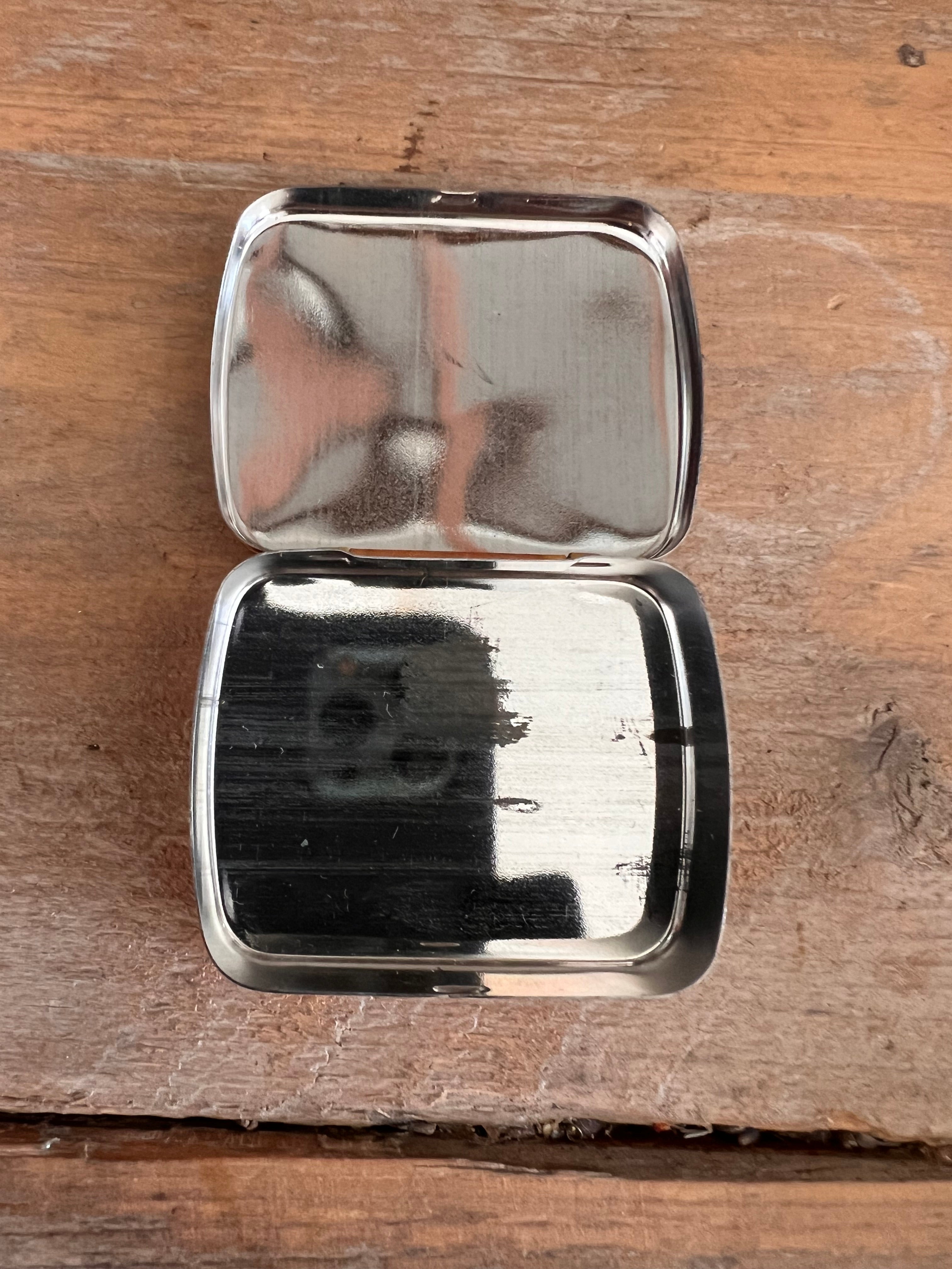 Pillendose im Dodo-Design