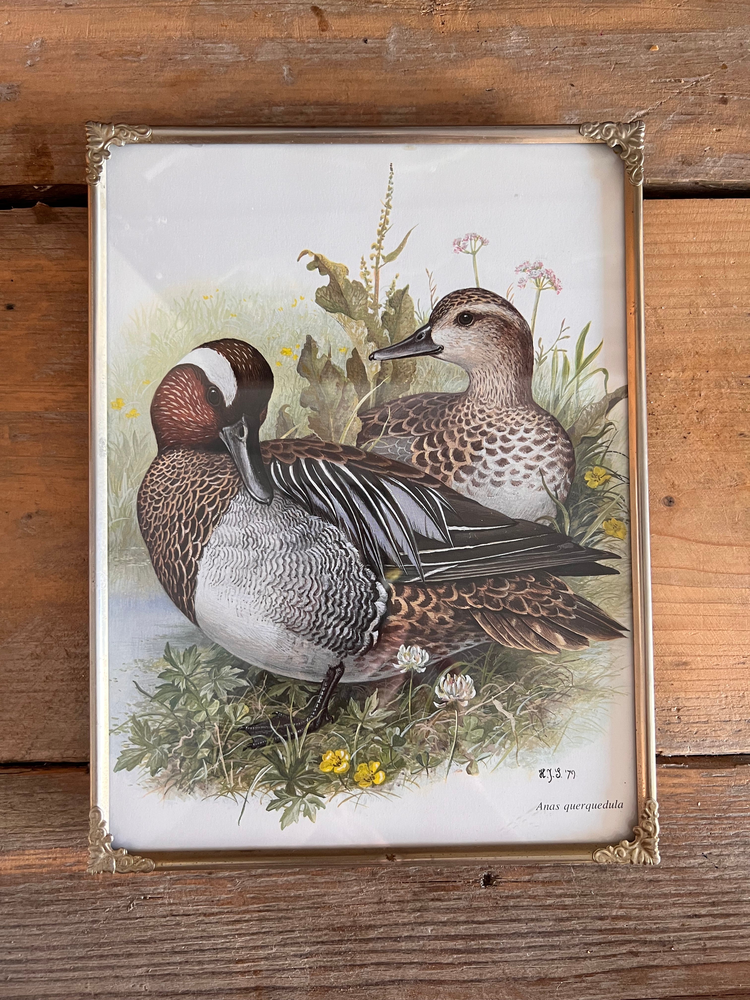 Vintage lijst met eendenpaar