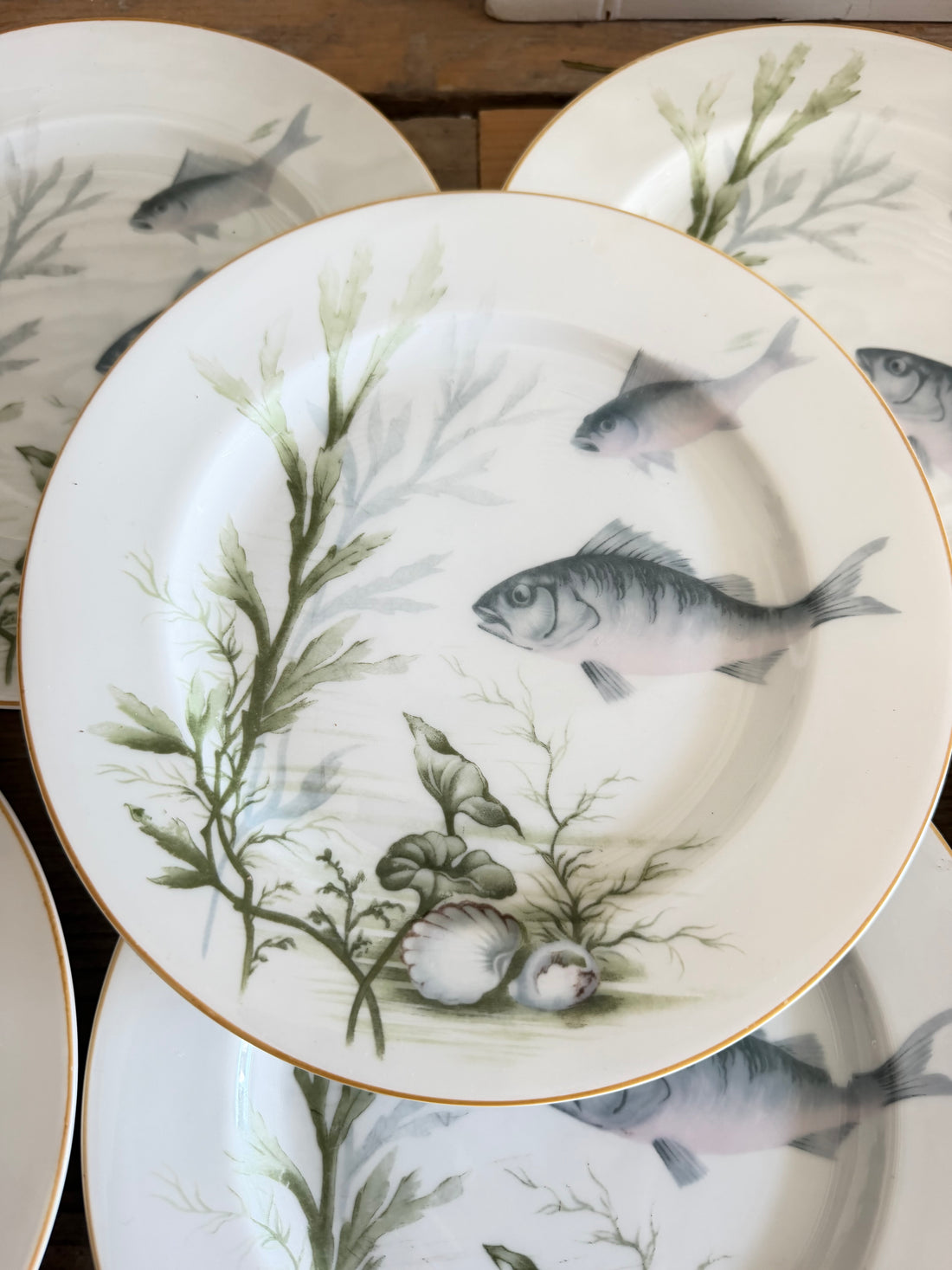 Rosenthal lunchborden, visborden, Selb Bavaria, porselein, Rosenthal porselein, Sofia&