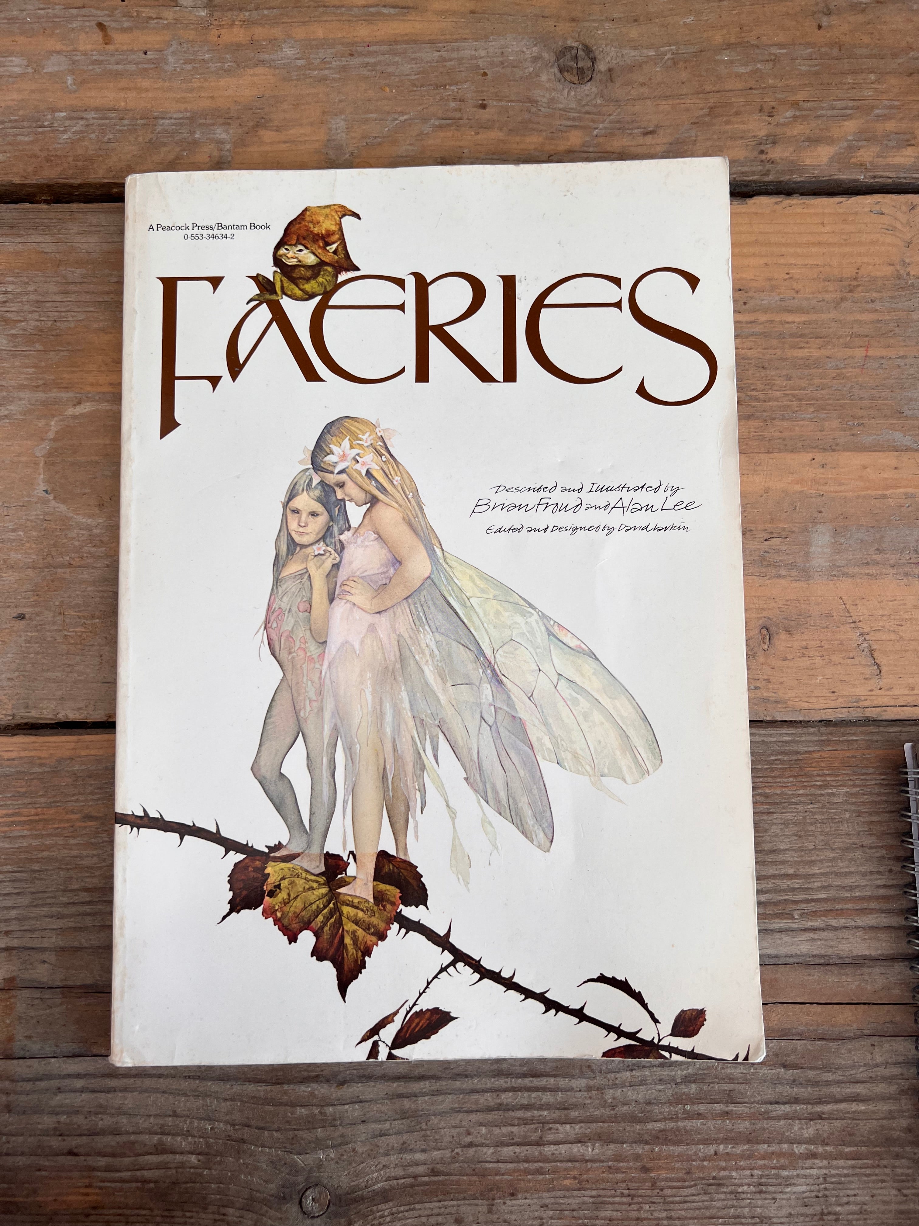 Faeries boek