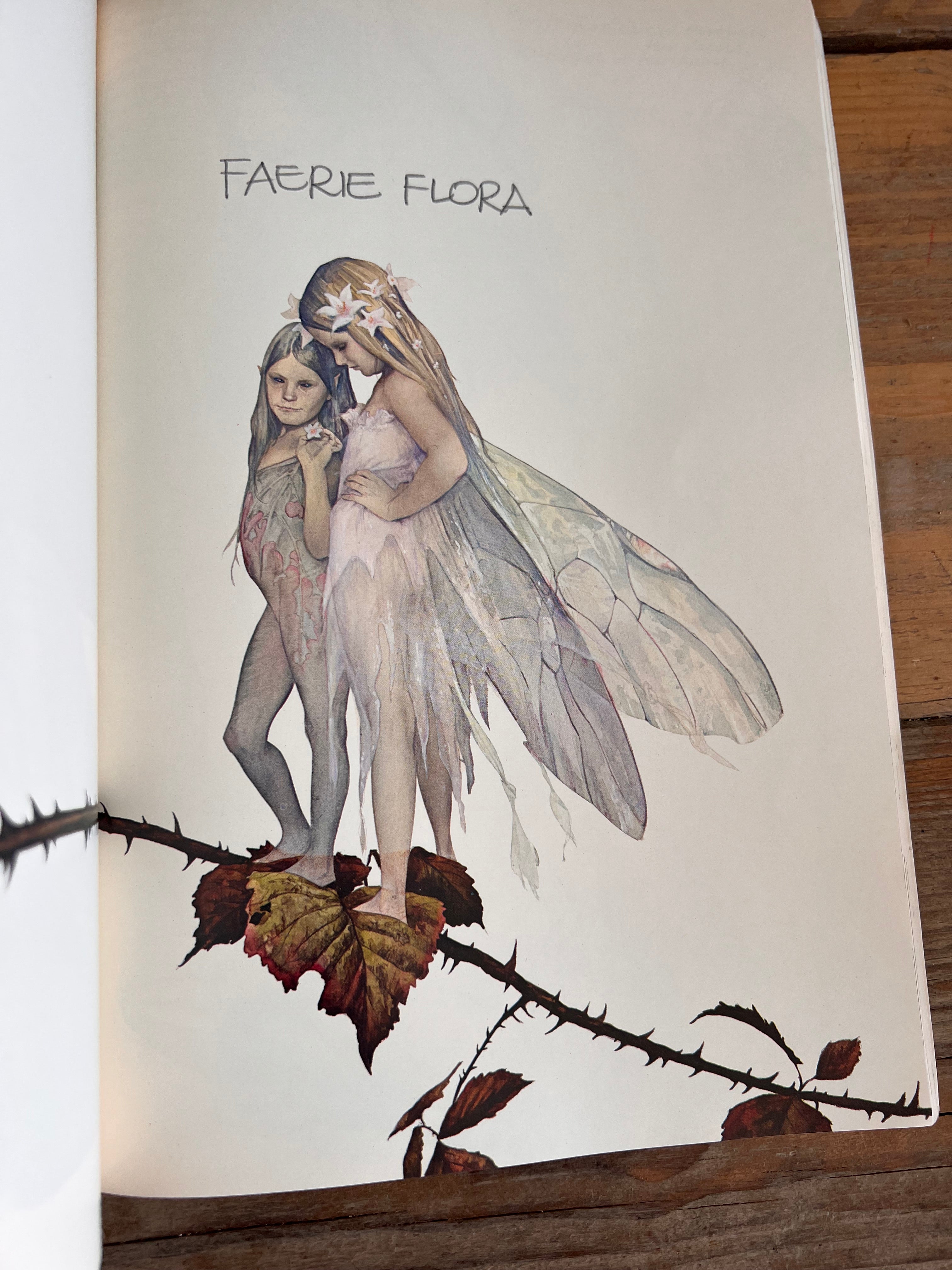 Fearies