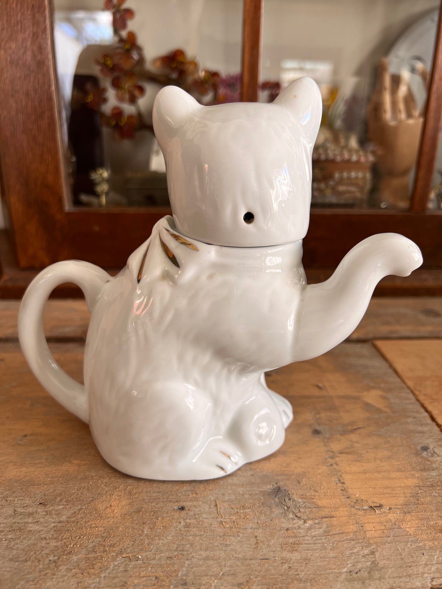 Teapot cat