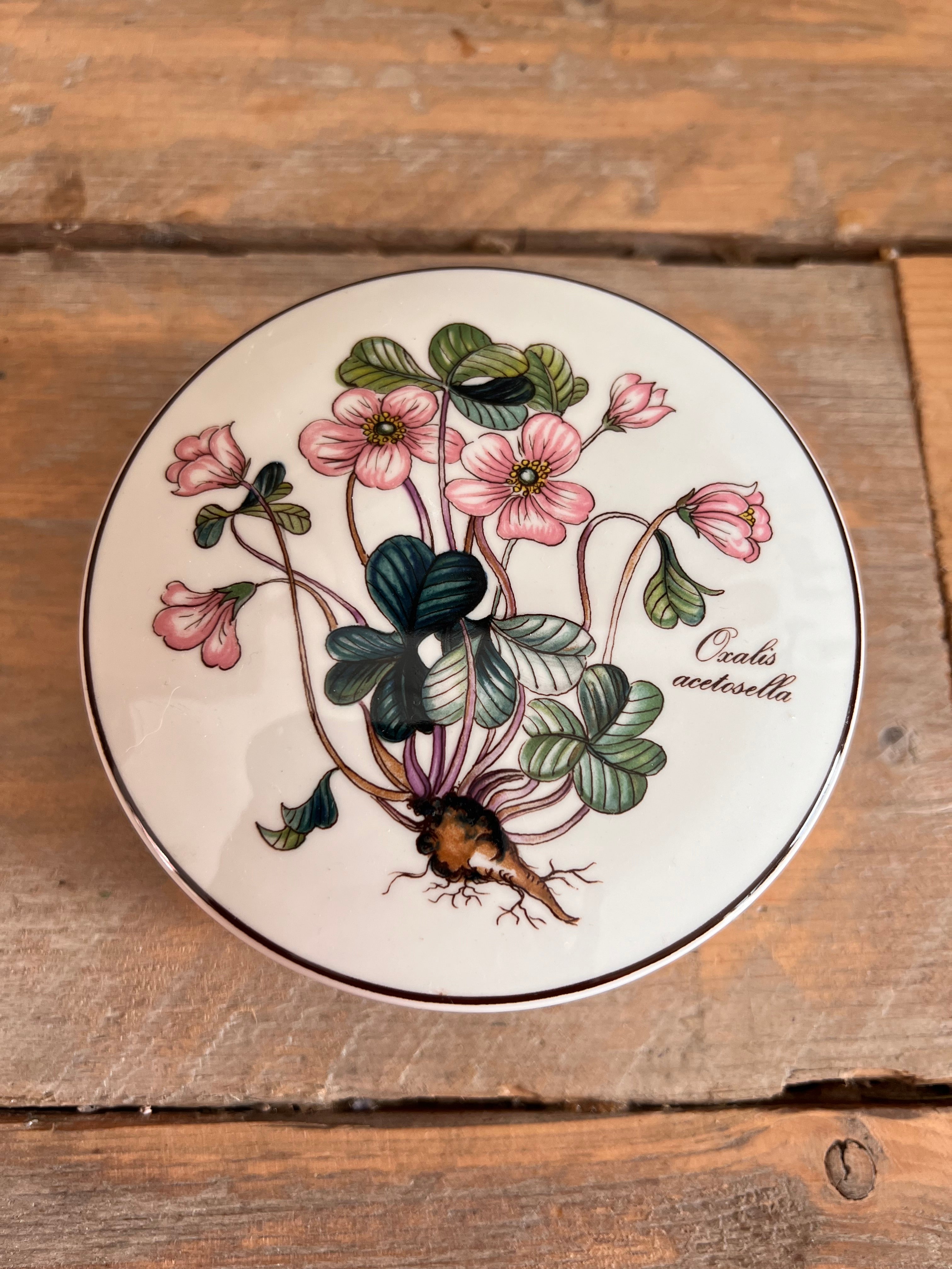 Dekseldoos Botanica Villeroy and Boch