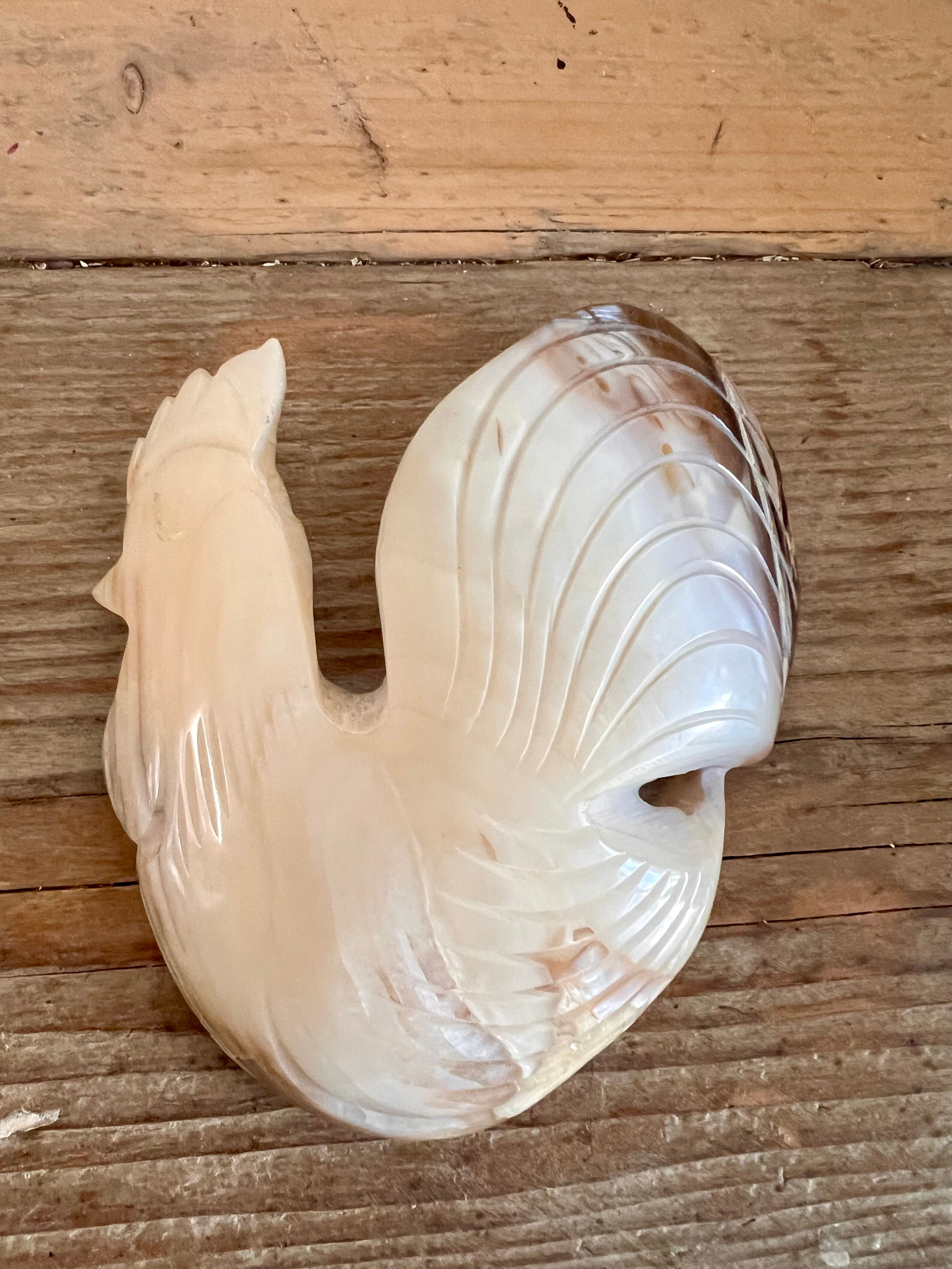 Haan van schelp