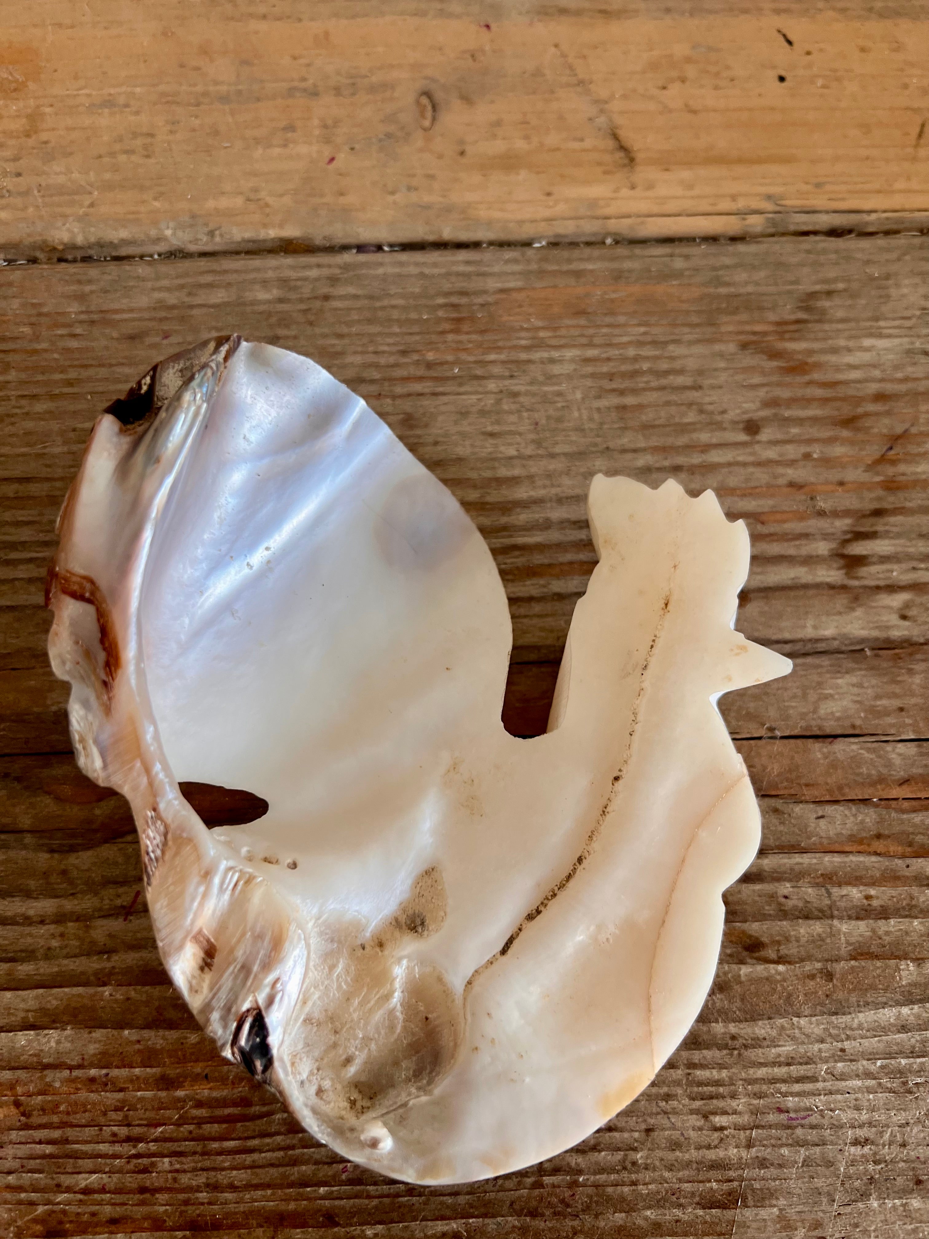 Prachtige handgemaakte haan van schelp