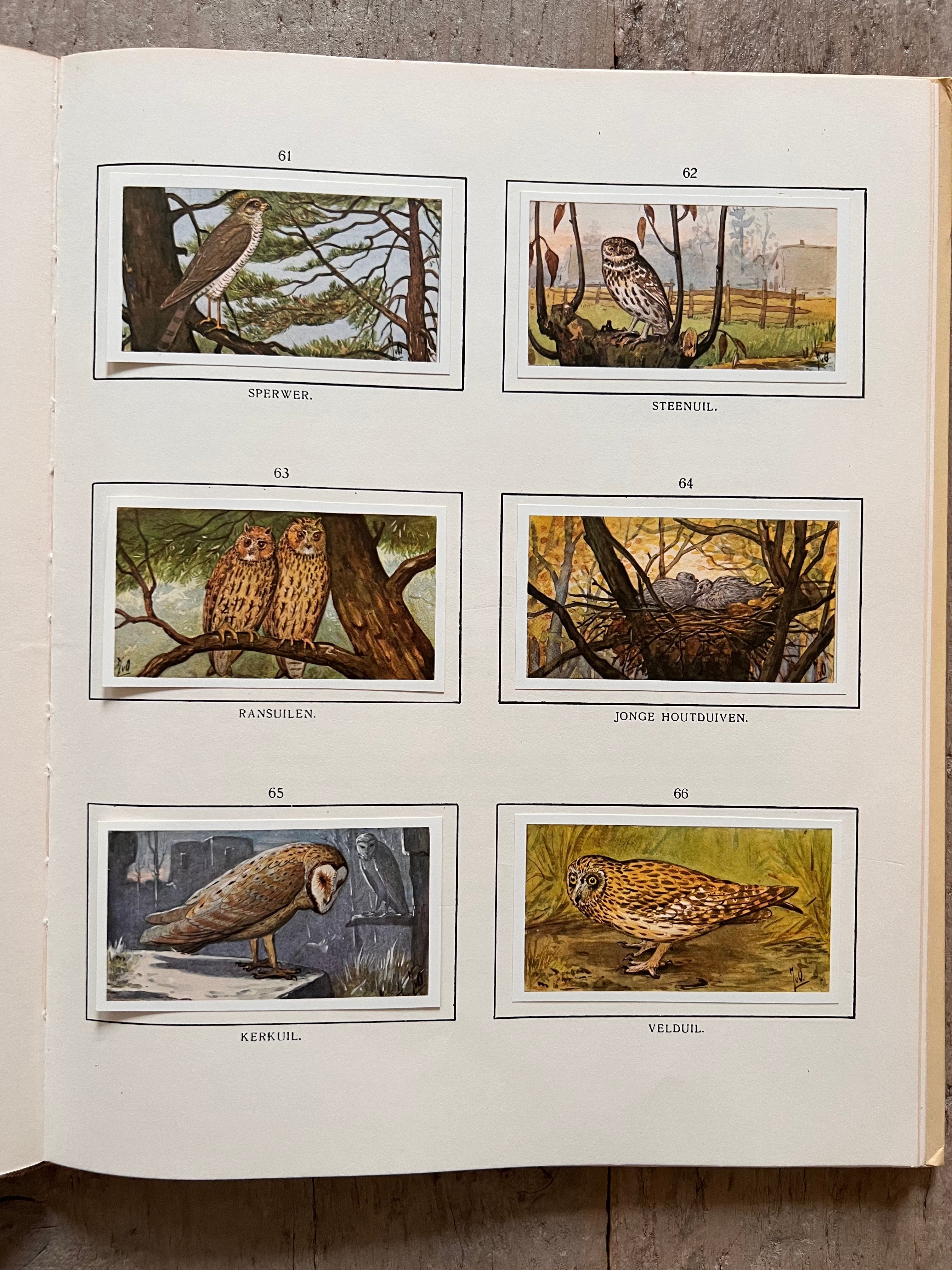 Verkade plaatjesboek Herfst Jac. P. Thijsse