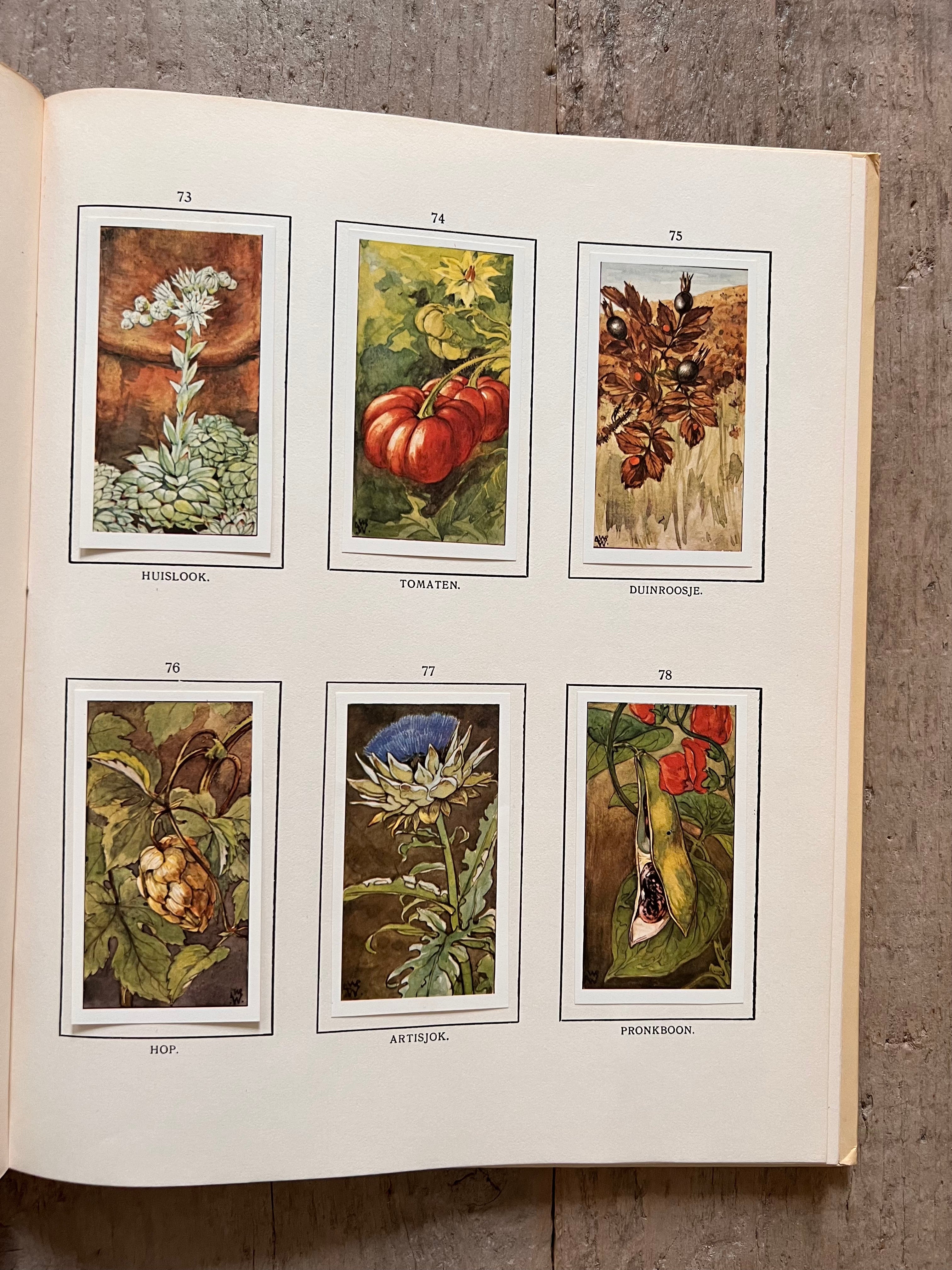 Verkade plaatjesboek Herfst Jac. P. Thijsse