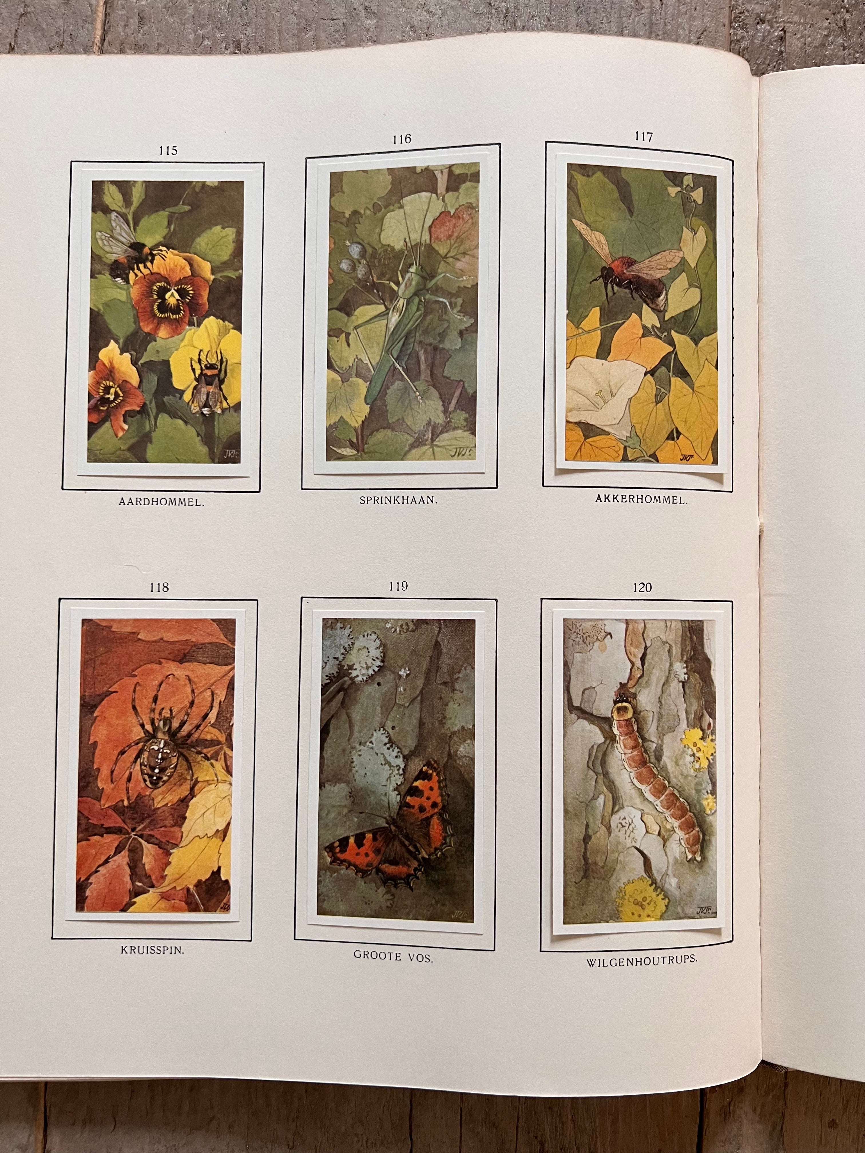Herfst Verkadeplaatjes boek 1975