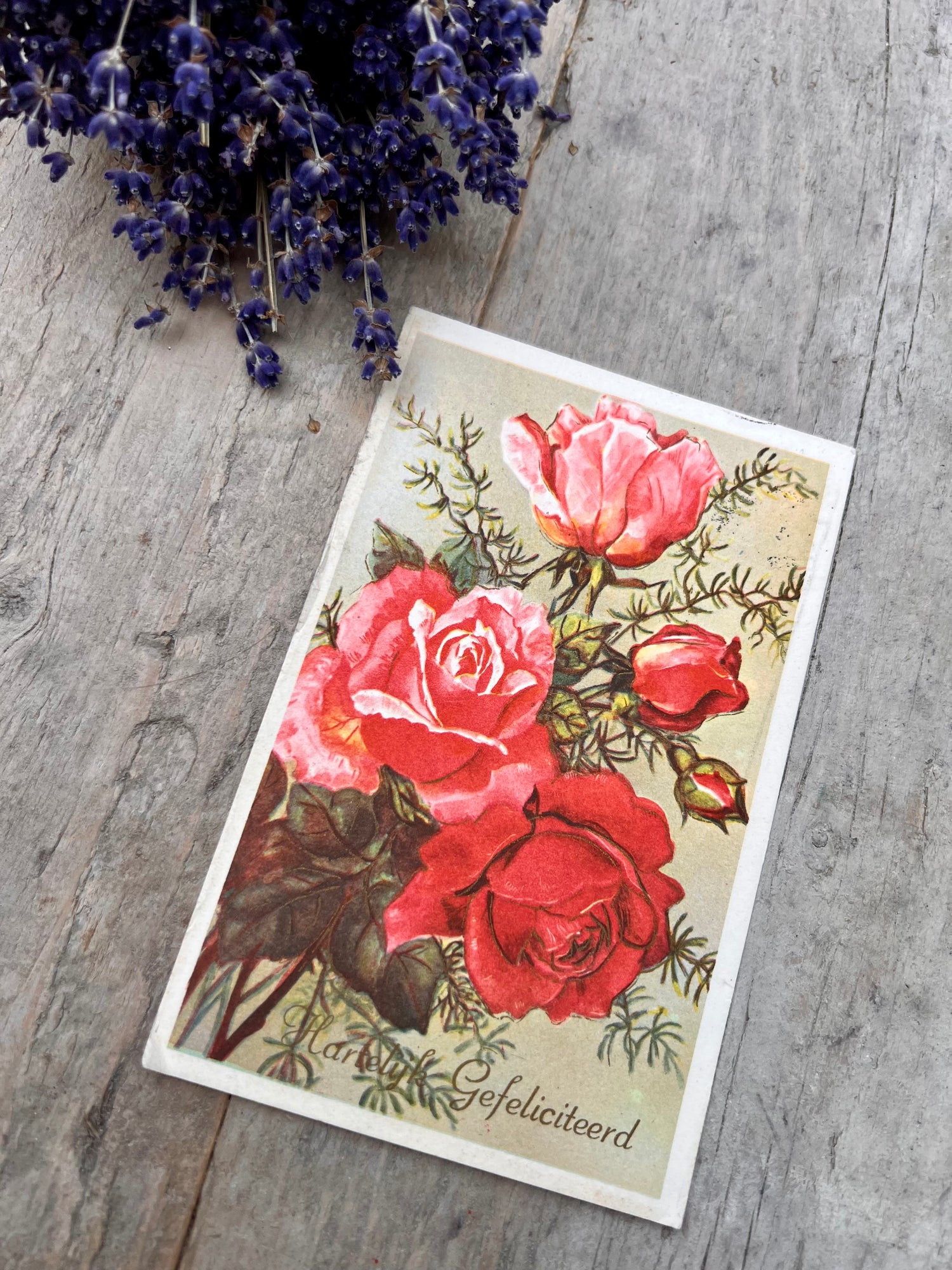 Vintage ansichtkaart rozen