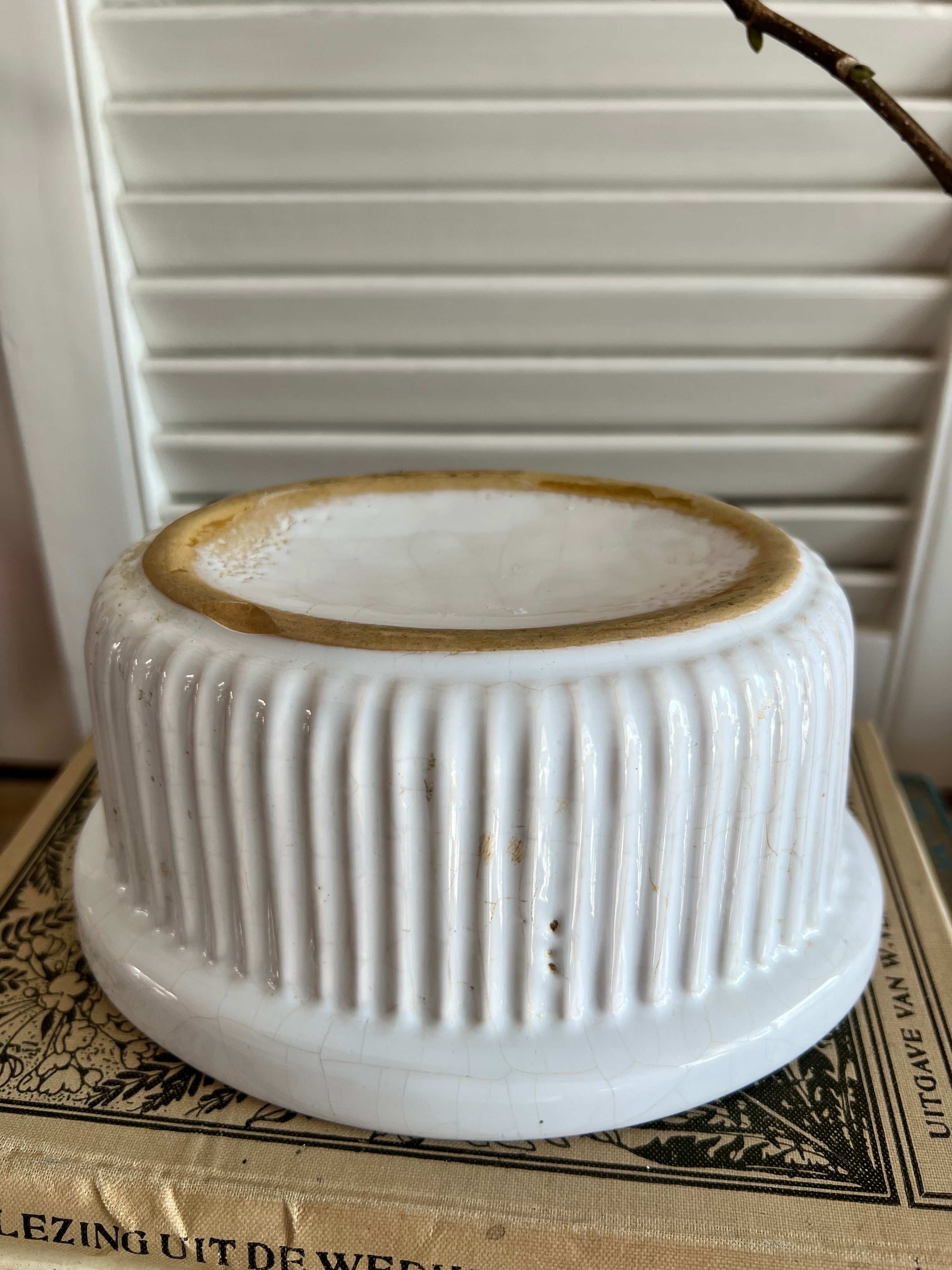 Paté terrine witte haas
