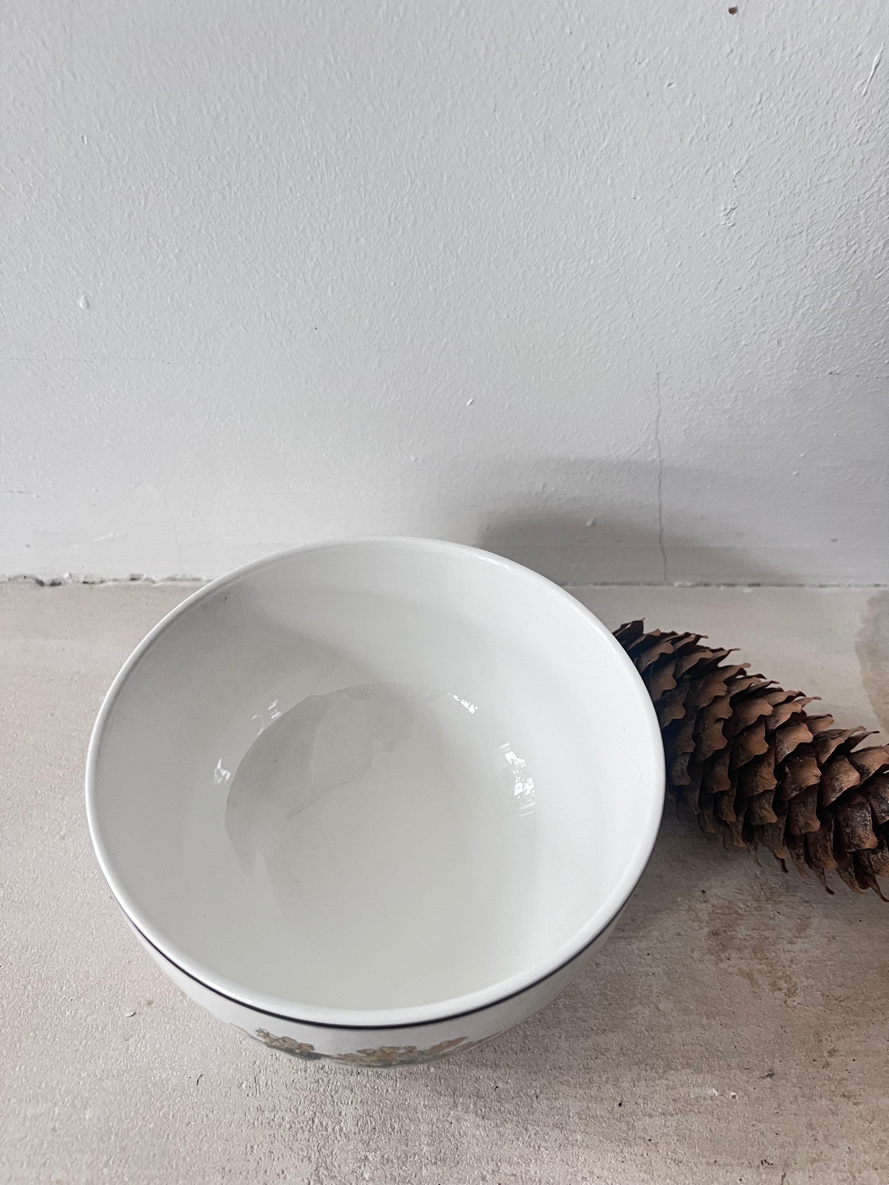 Villeroy & Boch kom, botanische kom, keramische kom, Villeroy & Boch servies, kom met natuurprint, duurzaam servies, cadeau keramiek, design kom.