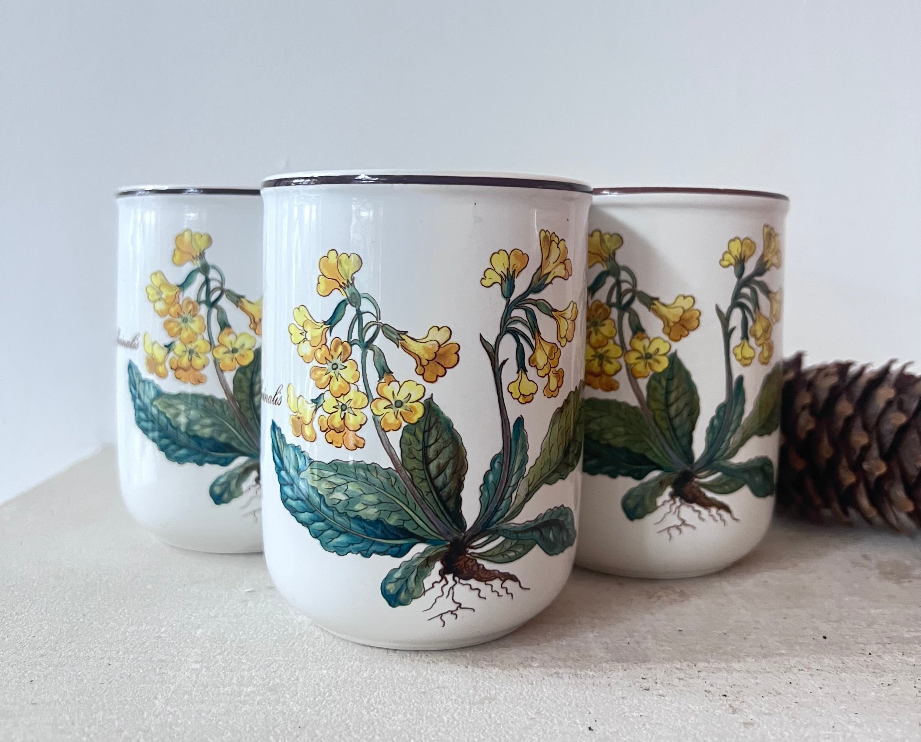 Villeroy & Boch beker, Primula Officinalis mok, botanische mok, Villeroy & Boch servies, keramische beker, koffie mok, thee mok, duurzaam servies, cadeau idee keramiek.
