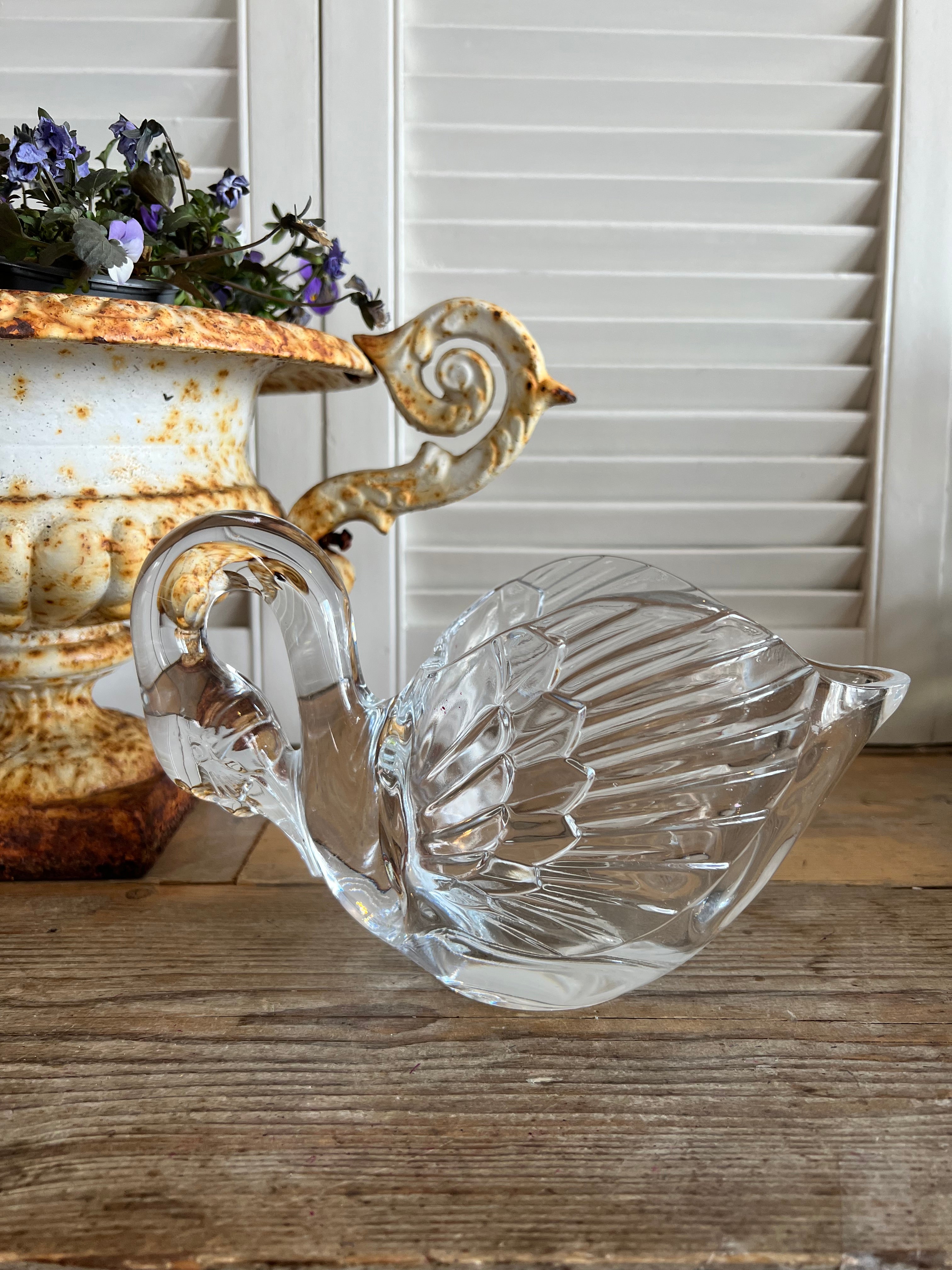 Zwaan Cristal d&