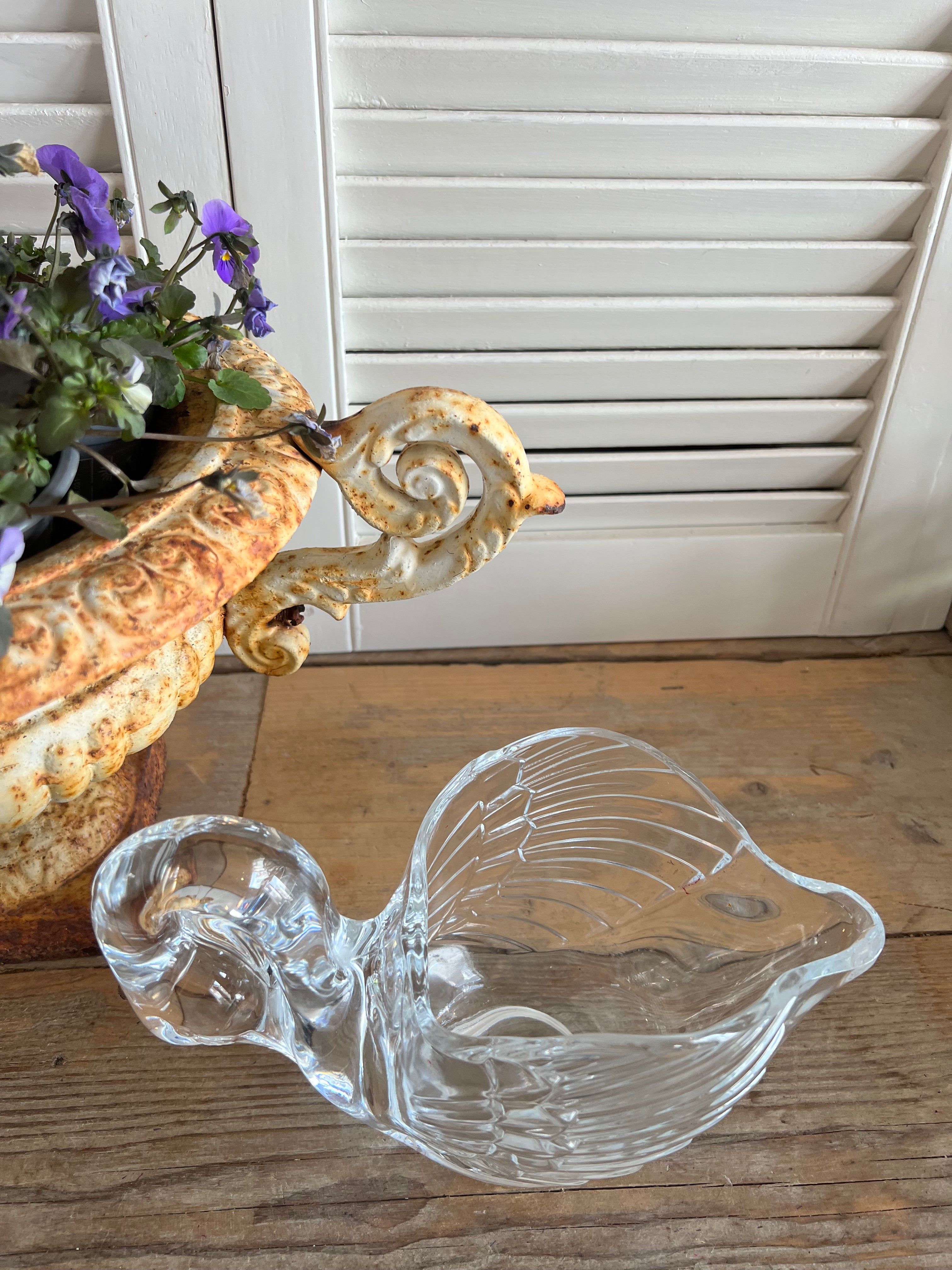 Zwaan Cristal d&