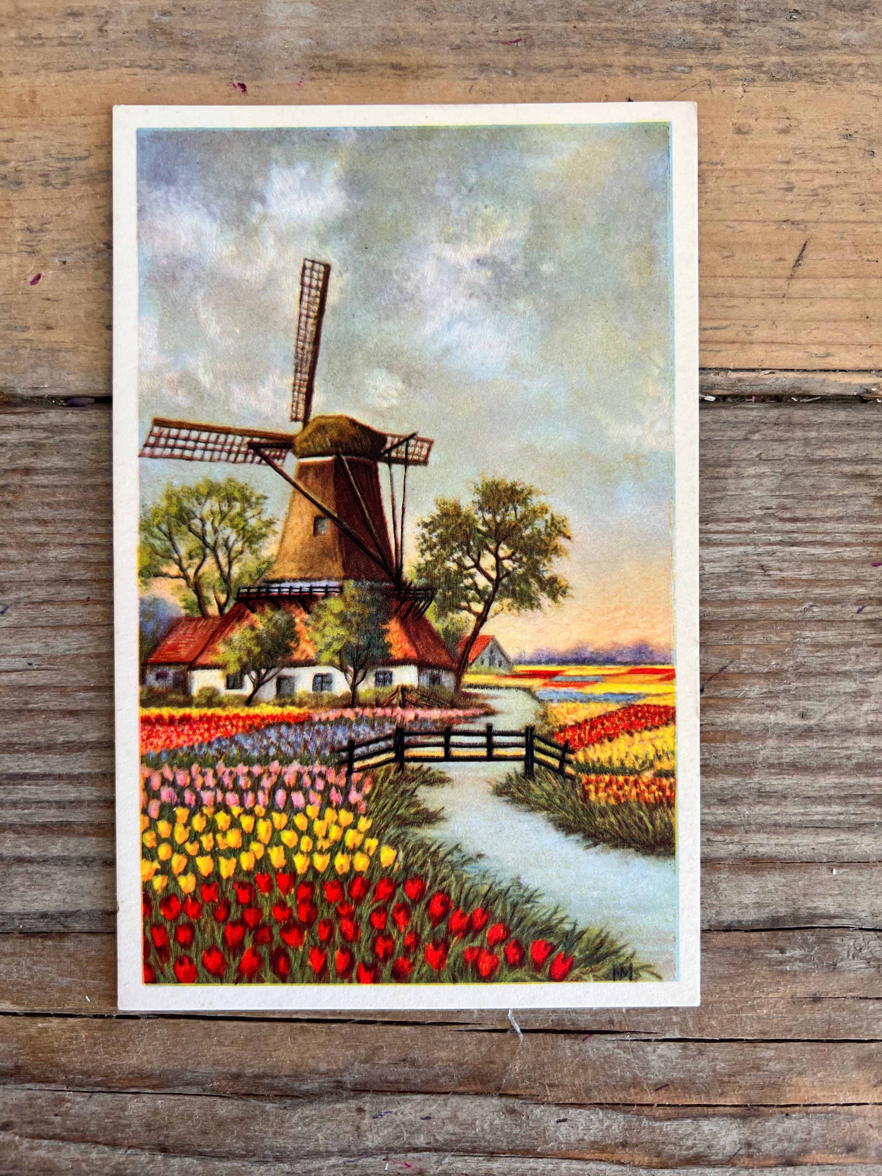 Vintage ansichtkaart bollenvelden met molen