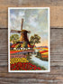 Vintage ansichtkaart bollenvelden met molen
