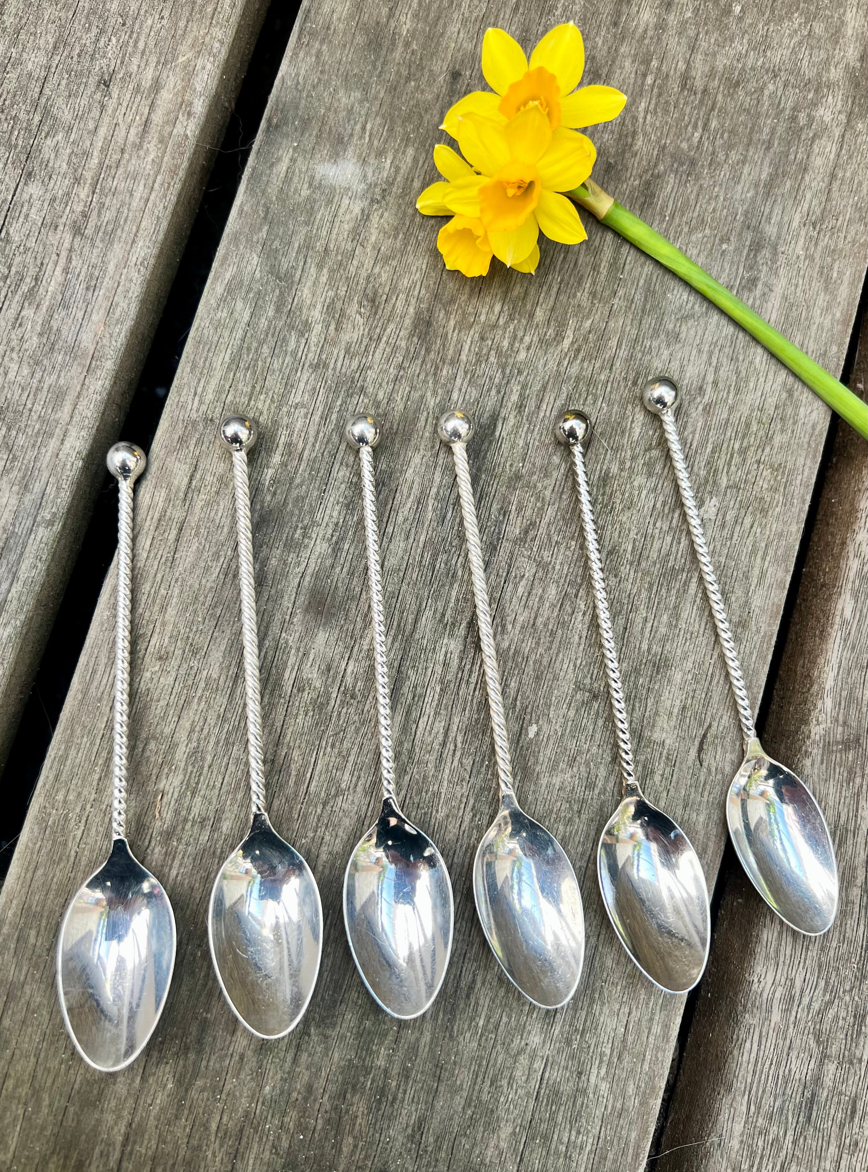 Verzilverde theelepelset "Stijlappel"