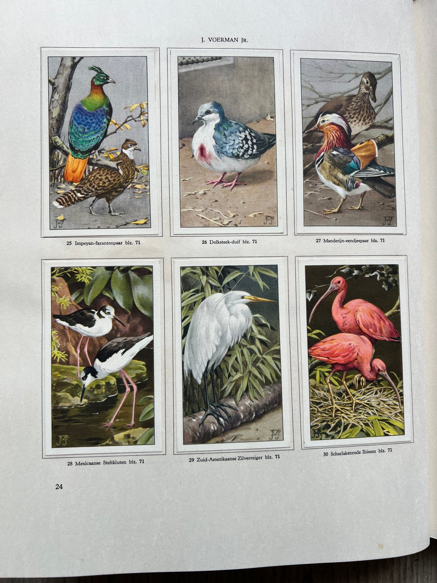 Dieren leven in Artis
